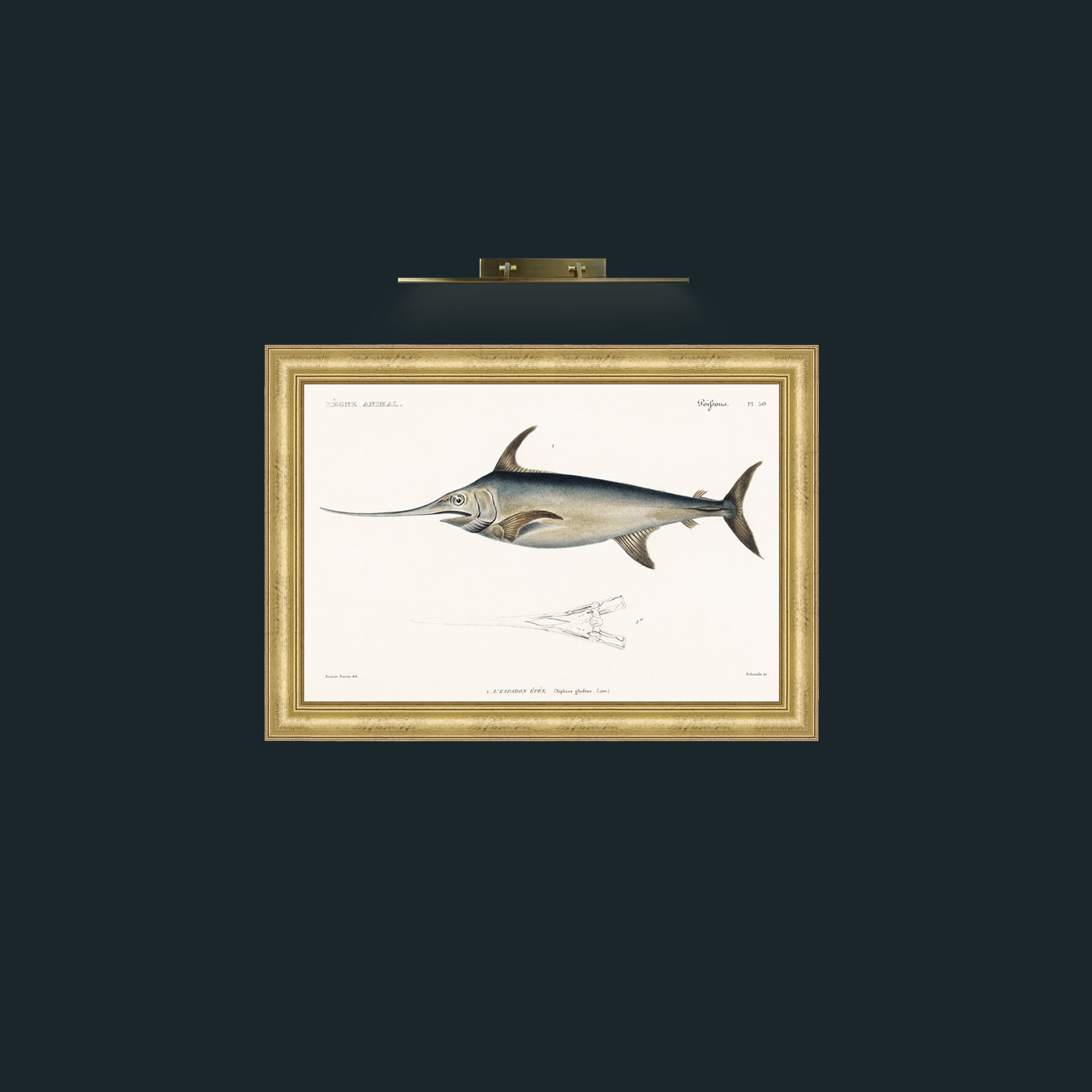 Art-Sword Fish-Frame-9WideGilt.jpg
