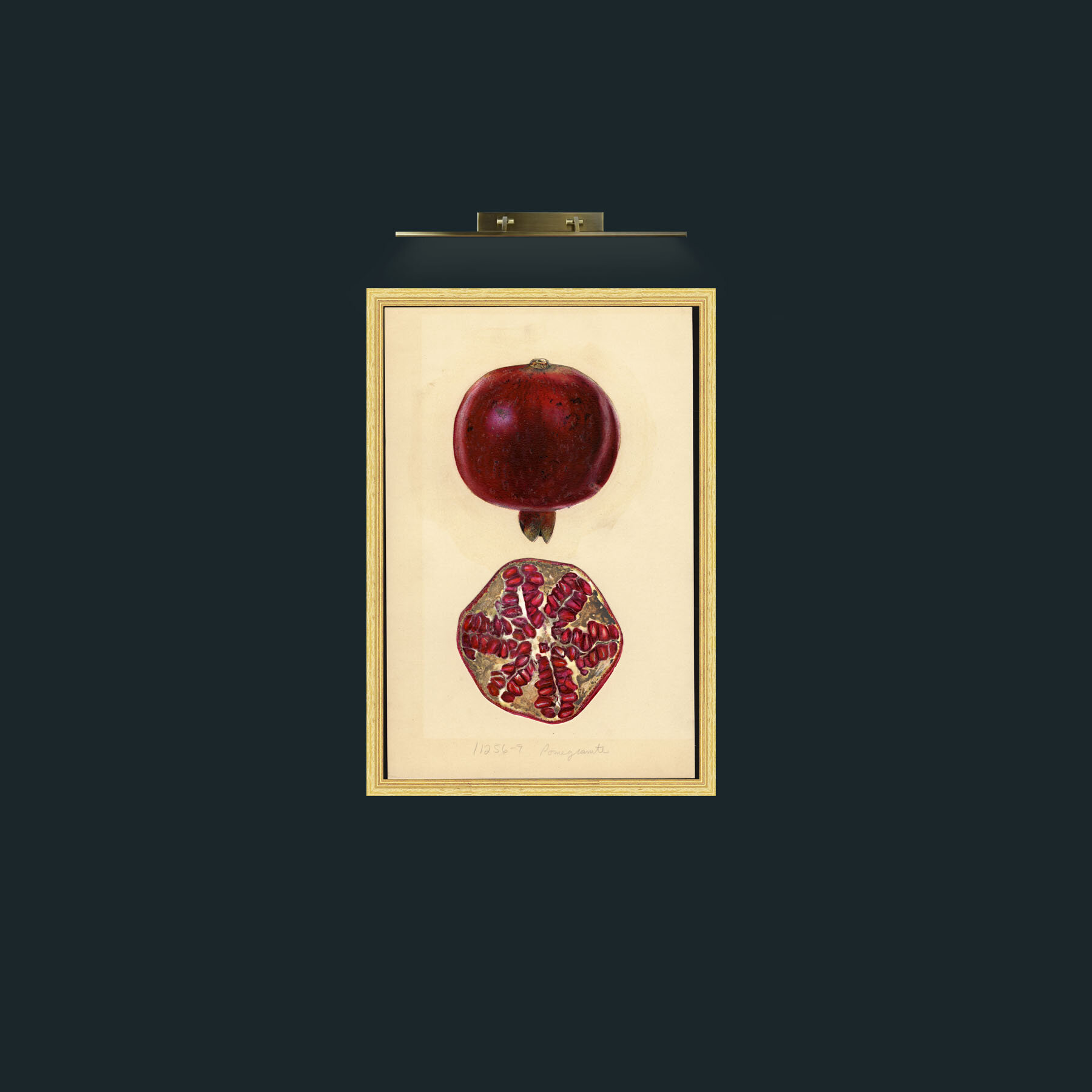 Art-Deep Red Pomegranate-Frame-4BevelledGilt.jpg