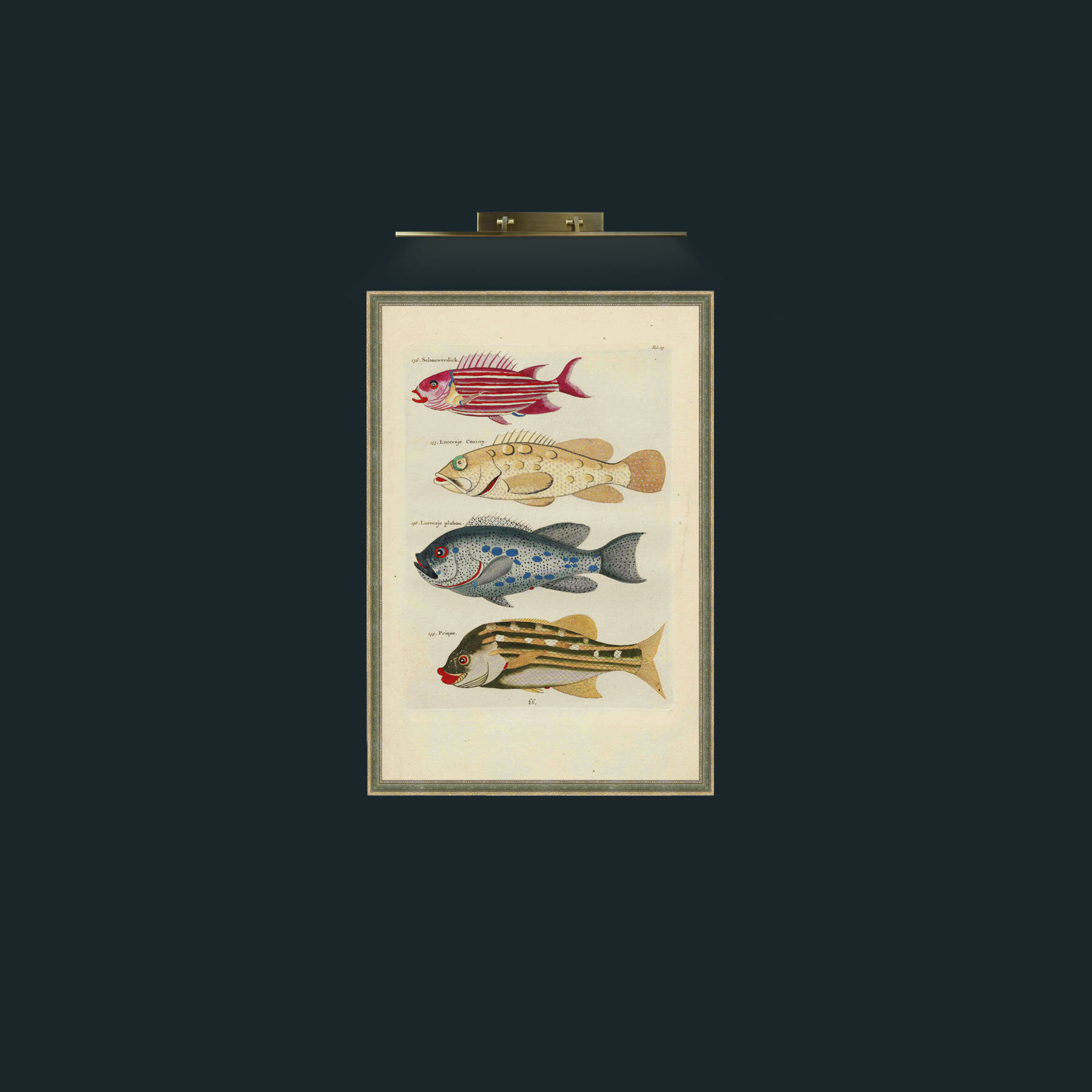 Art-Touches of Red Fish-Frame-2GreenGiltTextured.jpg