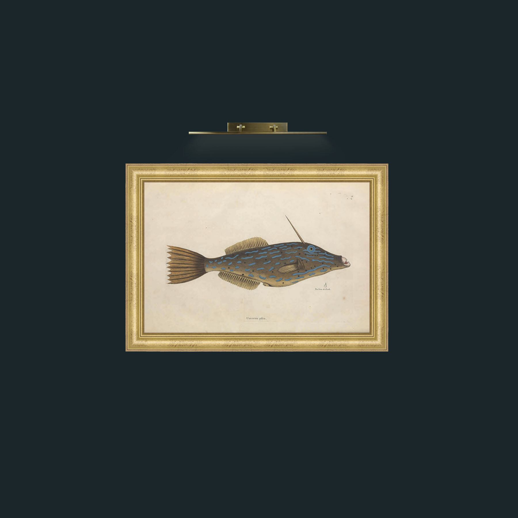Art-Unicorn Pilcis-Frame-9WideGilt.jpg