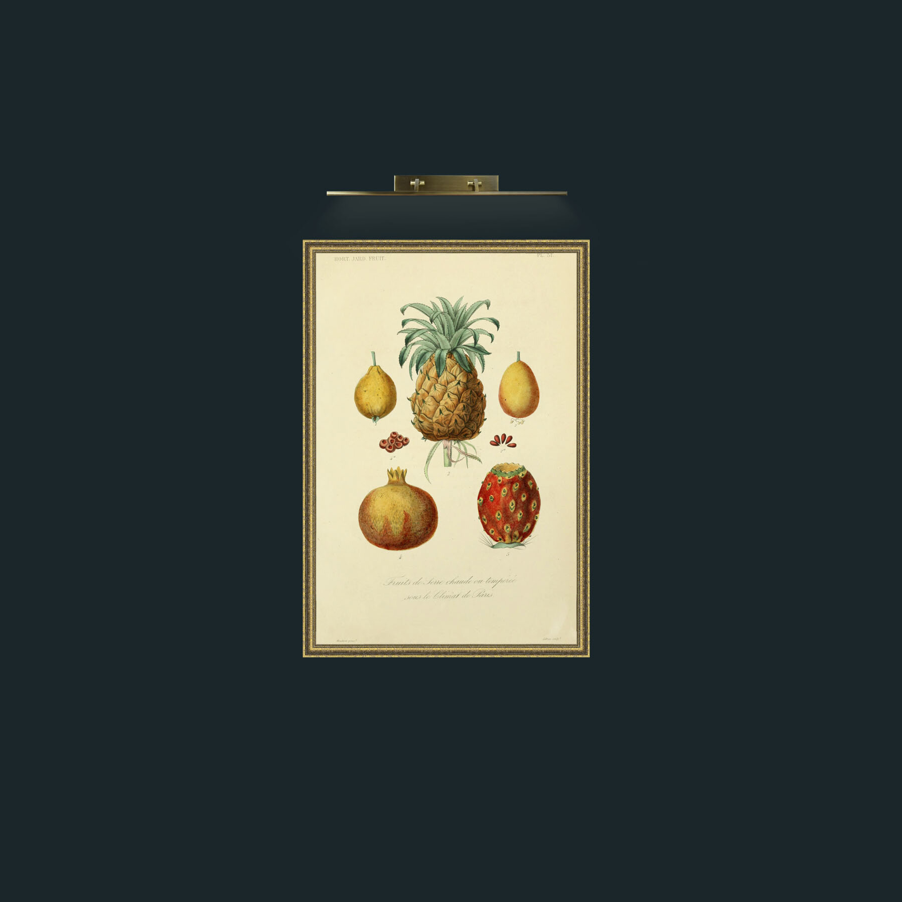 Art-Exotic Fruits-Frame-1GiltTextured.jpg