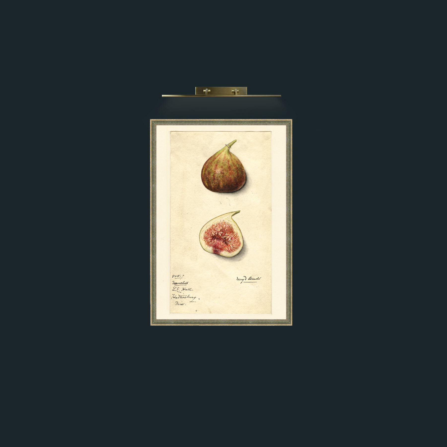 Art-Figs-Frame-2GreenGiltTextured.jpg