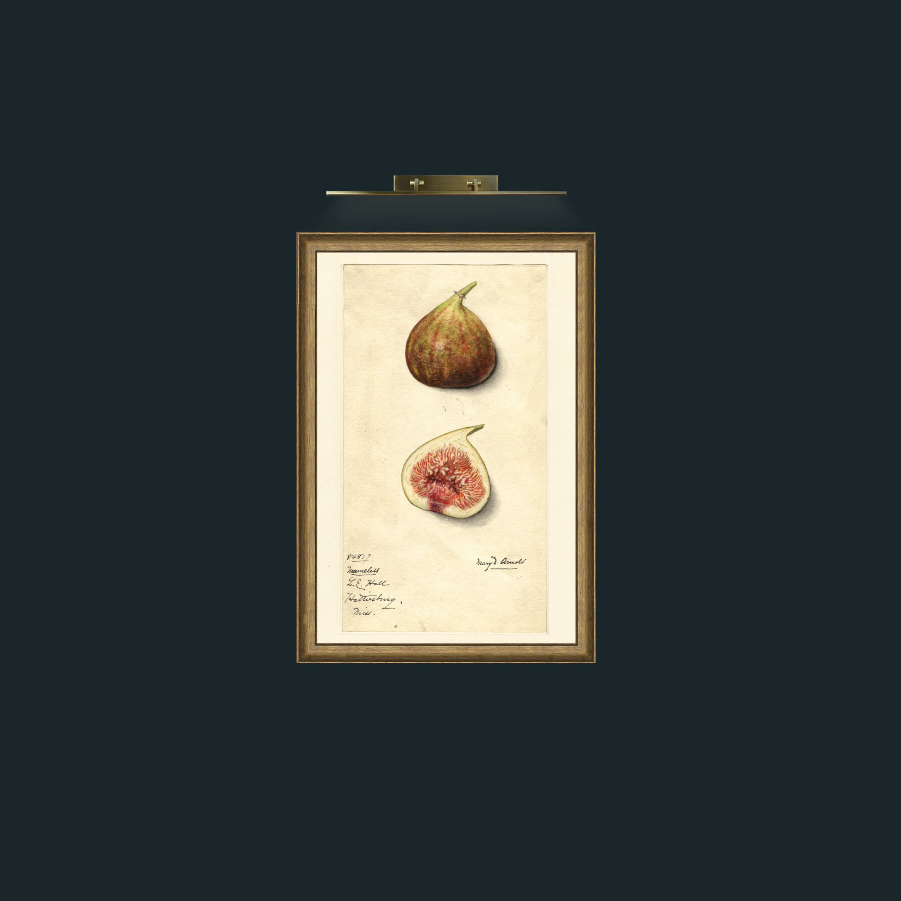 Art-Figs-Frame-8RedGreenGilt.jpg