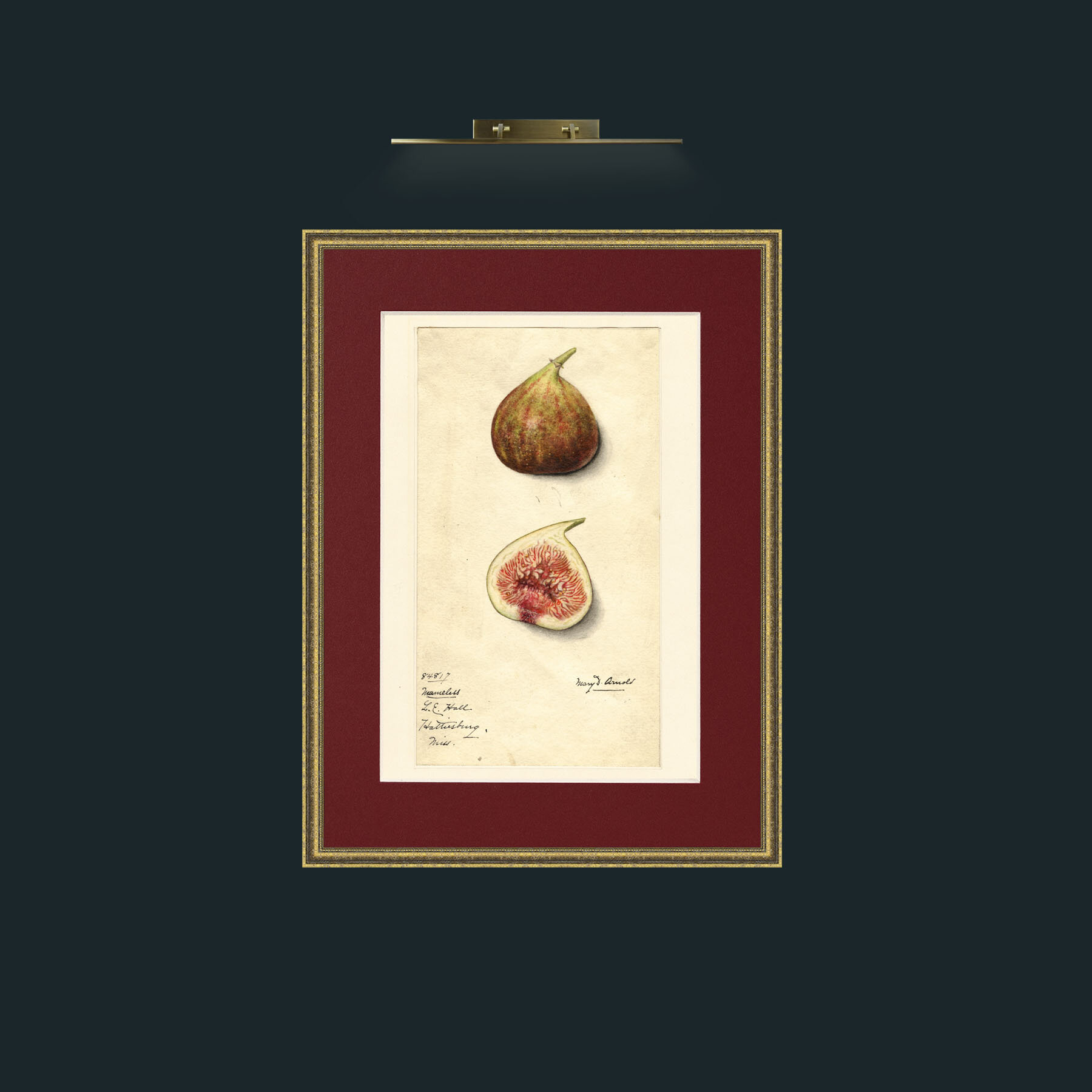 Art-Figs.jpg-Frame-1TexturedGilt-Mount-4Red.jpg