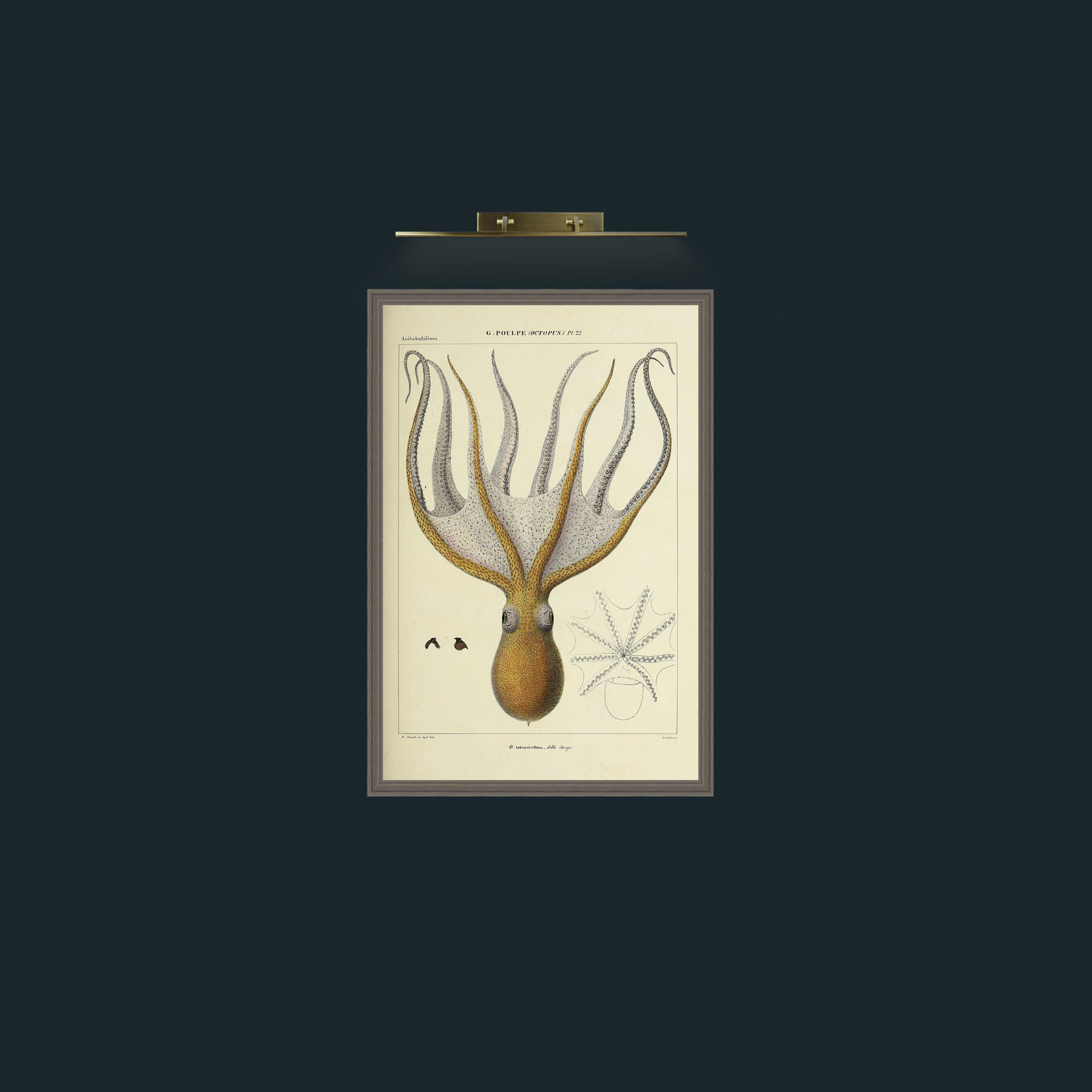 Art-Yellow Octapus-Frame-6Grey.jpg