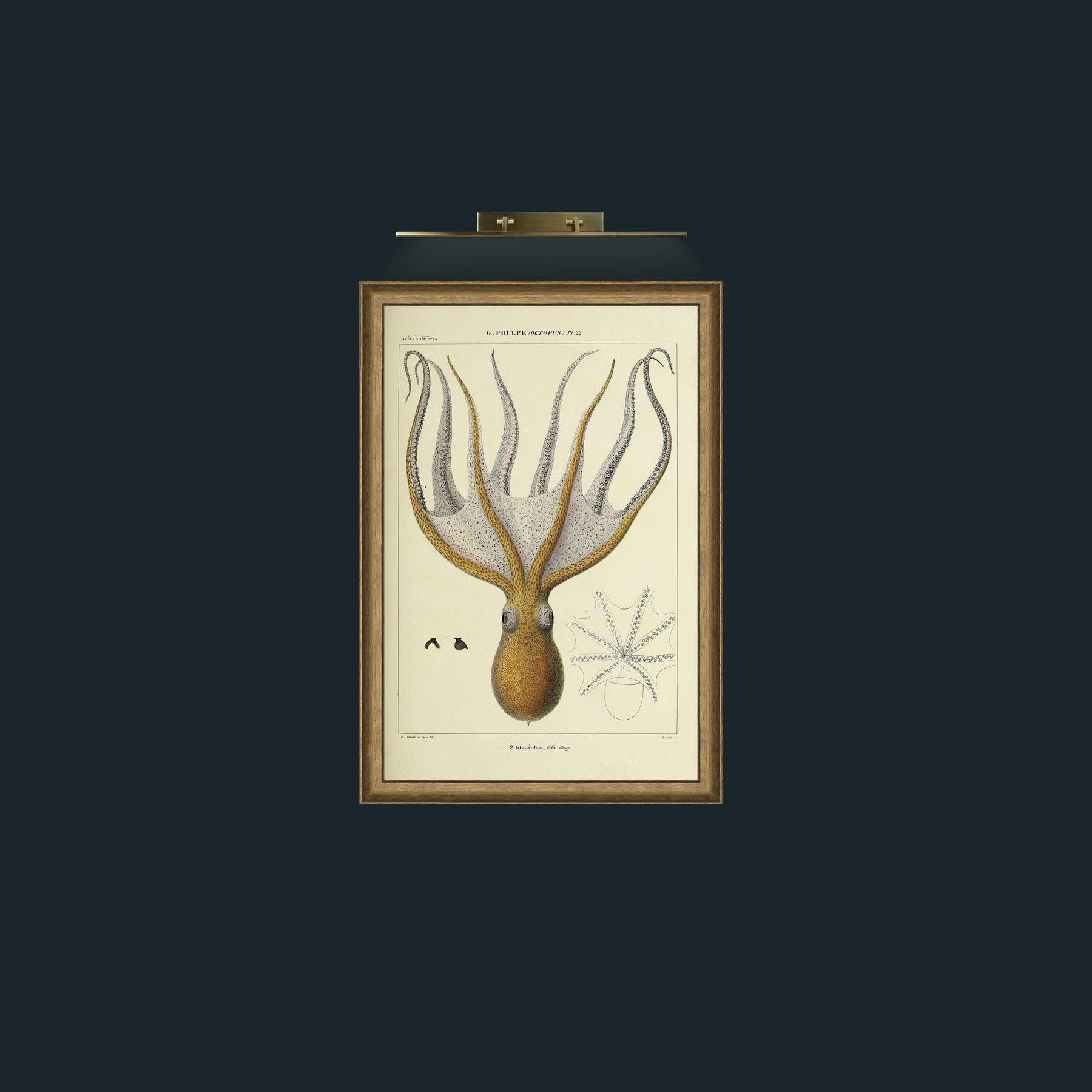 Art-Yellow Octapus-Frame-8RedGreenGilt.jpg