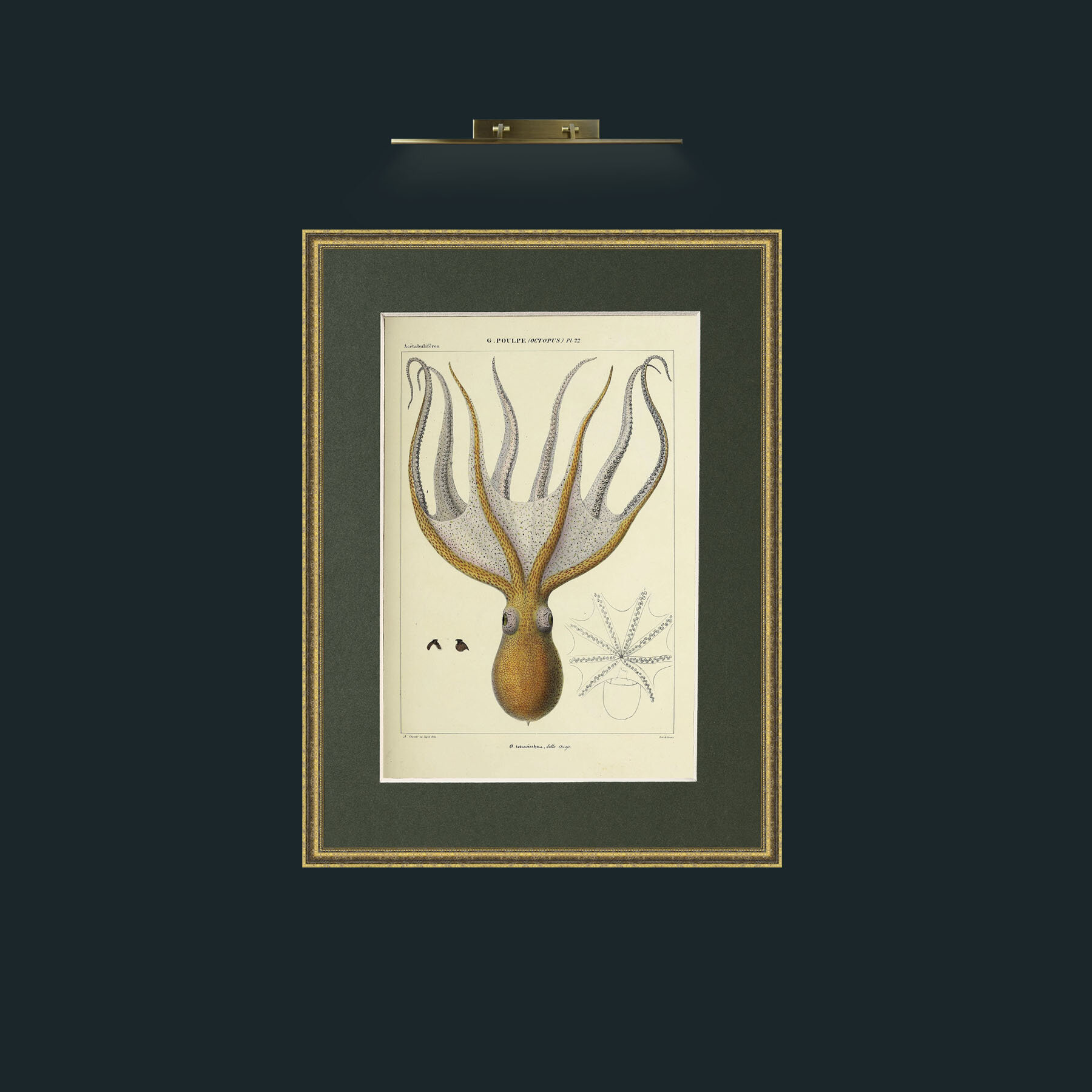 Art-Yellow Octapus.jpg-Frame-1TexturedGilt-Mount-2Green.jpg