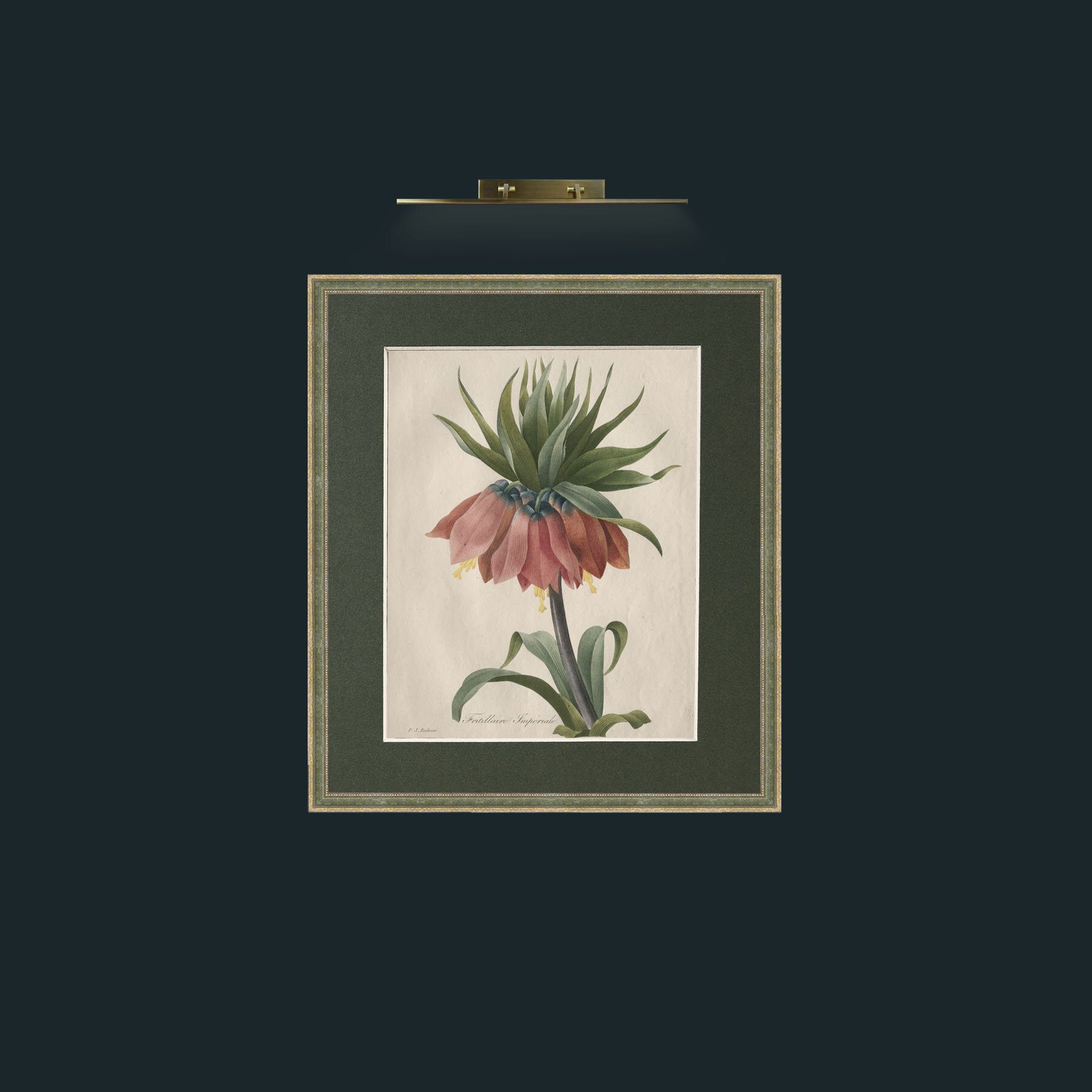 Art-Fritillaire ImperialeFrame-2GreenGiltTextured-Mount-2Green-Art-Fritillaire Imperiale.jpg