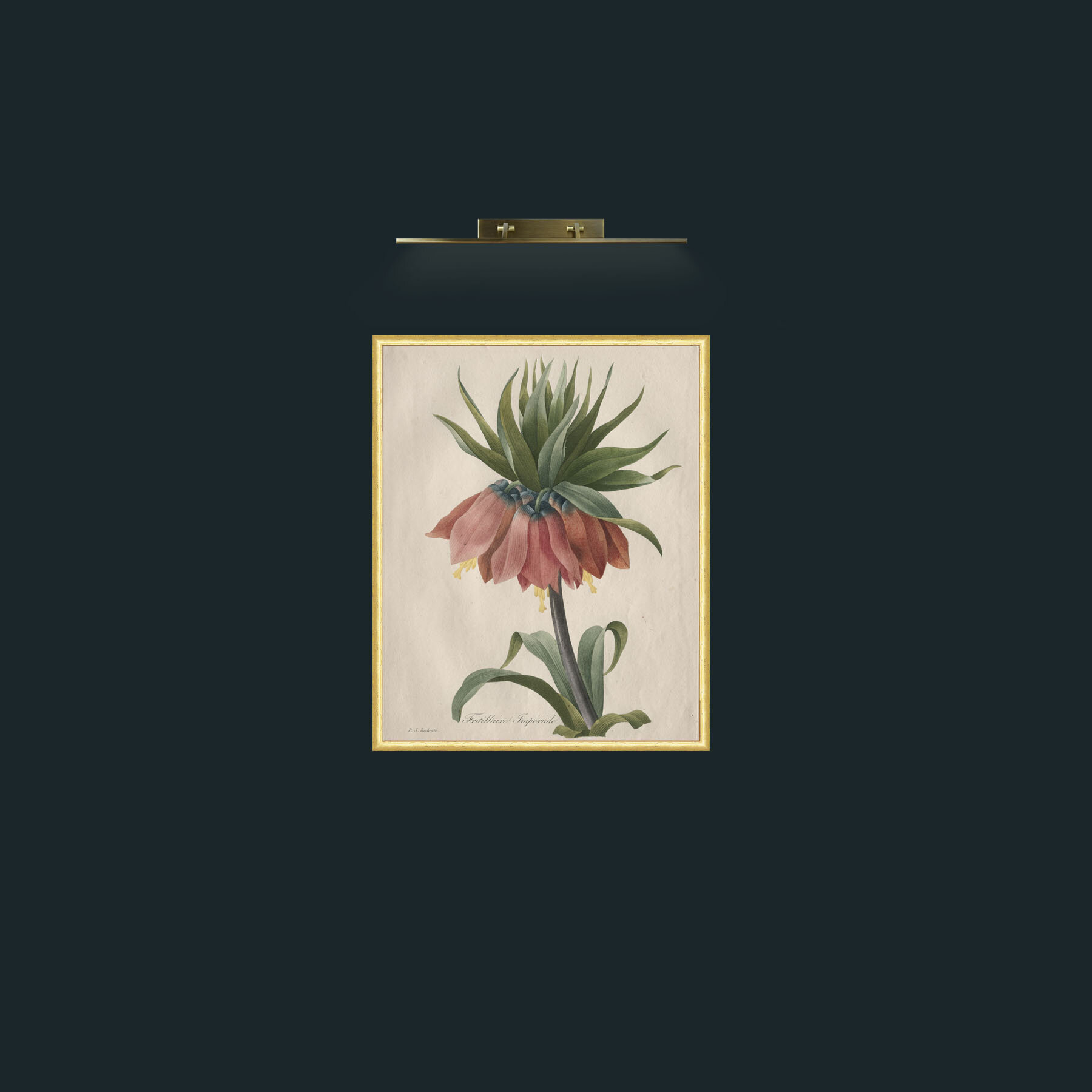 Art-Fritillaire ImperialeFrame-3RoundedGilt-Art-Fritillaire Imperiale.jpg
