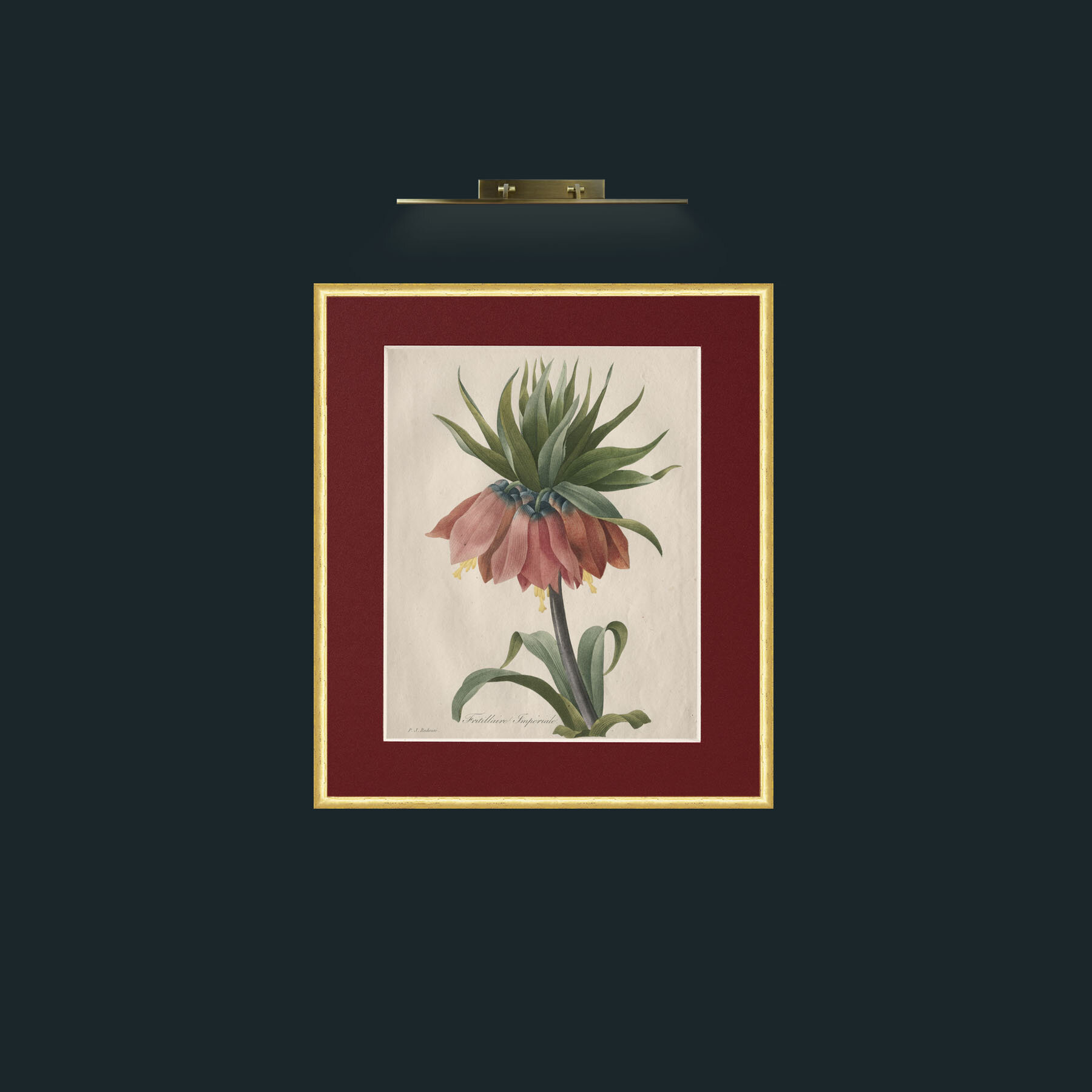 Art-Fritillaire ImperialeFrame-3RoundedGilt-Mount-4Red-Art-Fritillaire Imperiale.jpg