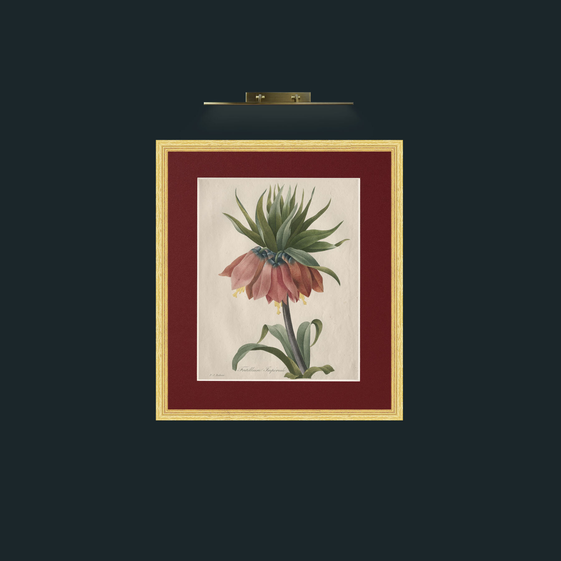 Art-Fritillaire ImperialeFrame-4BevelledGilt-Mount-4Red-Art-Fritillaire Imperiale.jpg