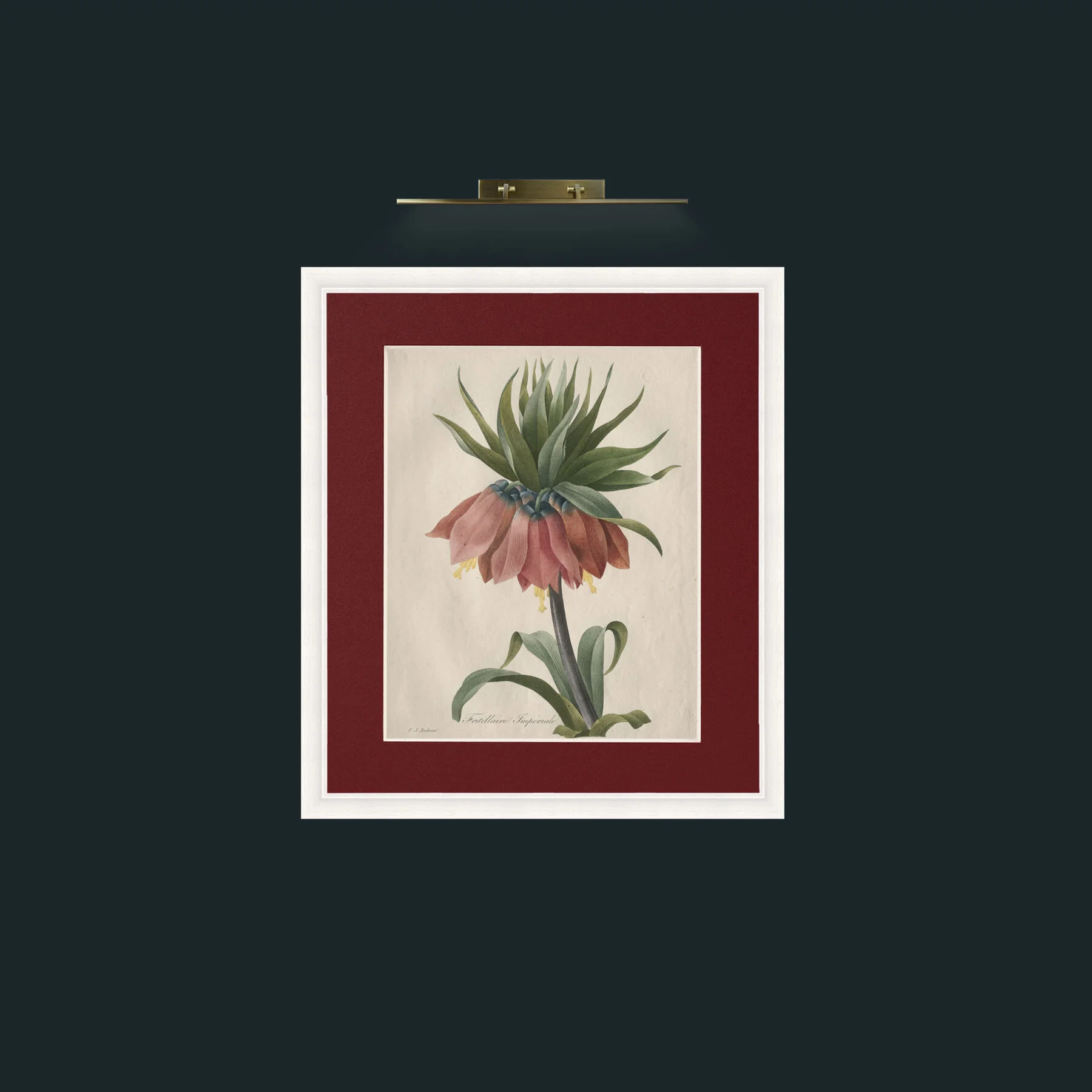 Art-Fritillaire ImperialeFrame-5White-Mount-4Red-Art-Fritillaire Imperiale.jpg
