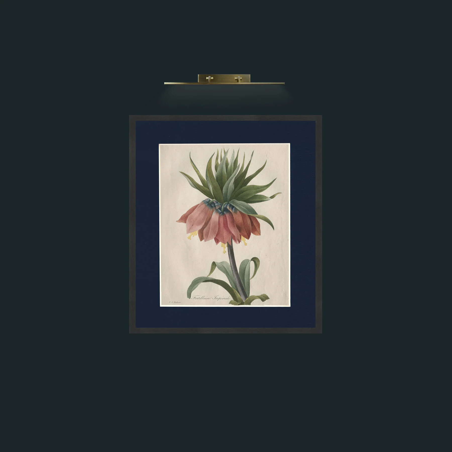 Art-Fritillaire ImperialeFrame-7Black-Mount-3Blue-Art-Fritillaire Imperiale.jpg