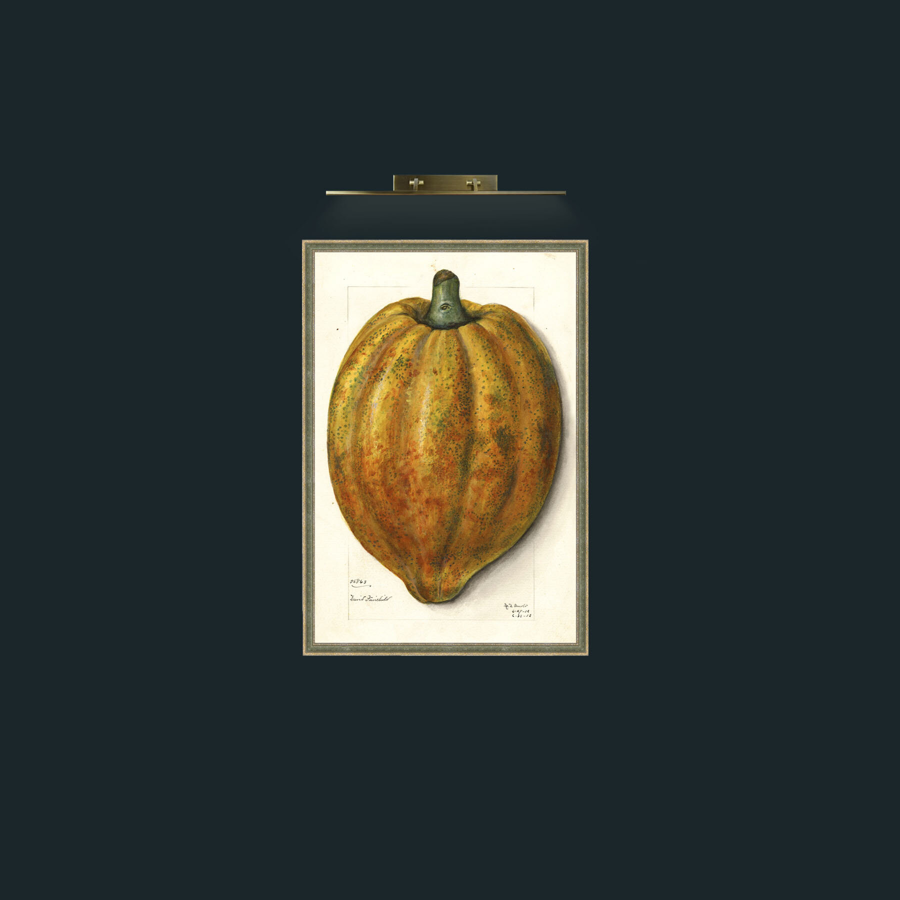 Art-Fruit 1-Frame-2GreenGiltTextured.jpg