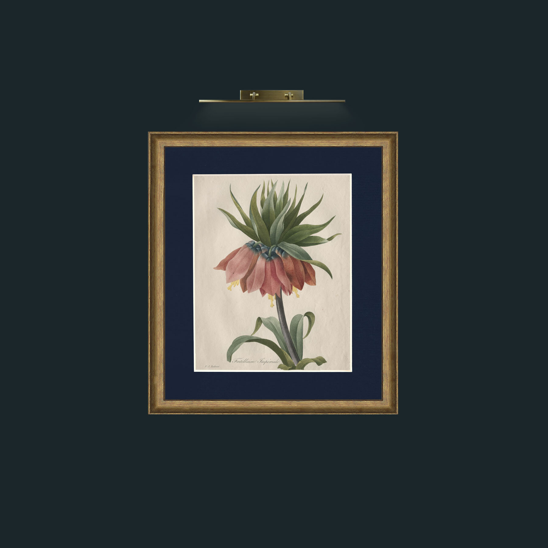 Art-Fritillaire ImperialeFrame-8RedGreenGilt-Mount-3Blue-Art-Fritillaire Imperiale.jpg