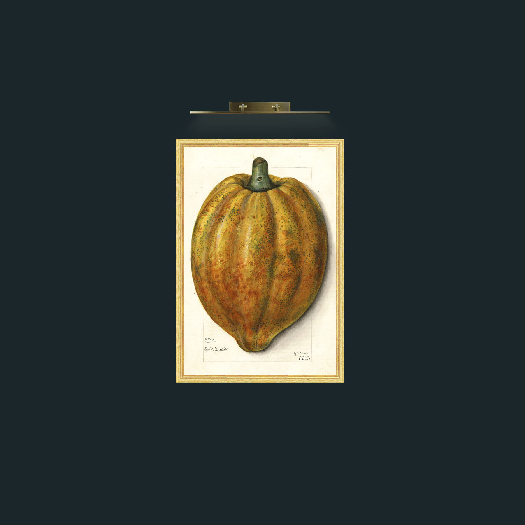 Art-Fruit 1-Frame-4BevelledGilt.jpg
