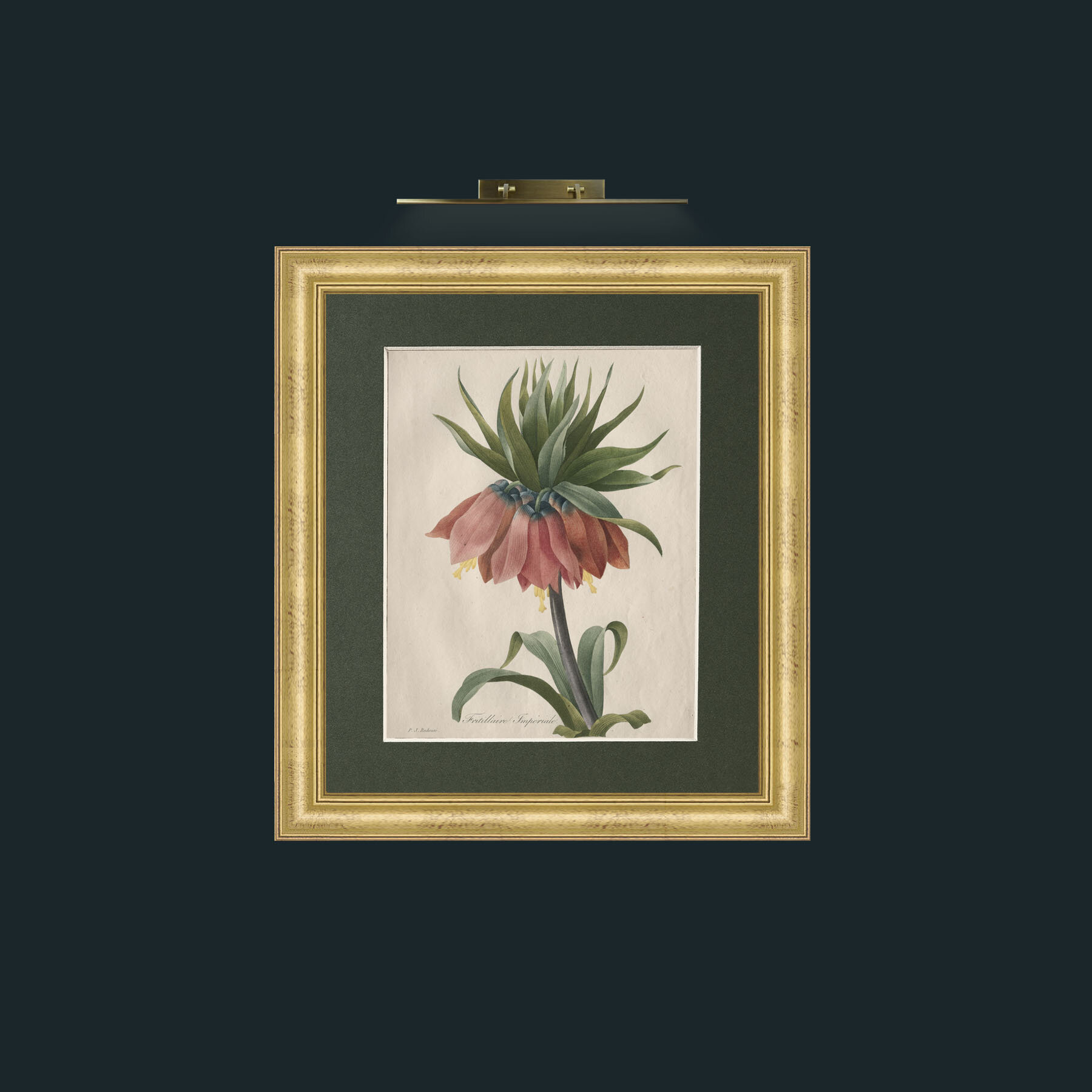 Art-Fritillaire ImperialeFrame-9WideGilt-Mount-2Green-Art-Fritillaire Imperiale.jpg