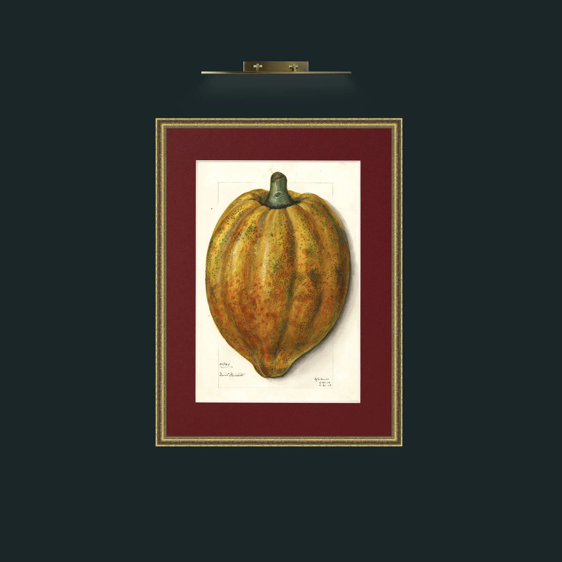 Art-Fruit 1.jpg-Frame-1TexturedGilt-Mount-4Red.jpg