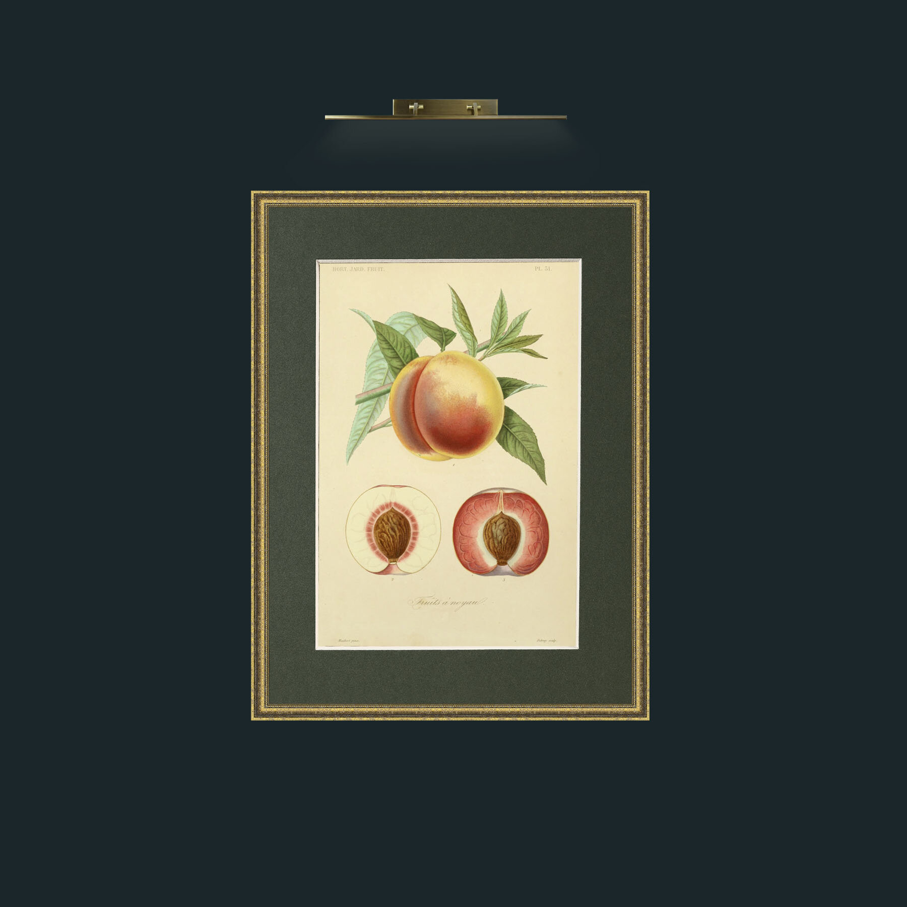 Art-Fruits a Noyau.jpg-Frame-1TexturedGilt-Mount-2Green.jpg