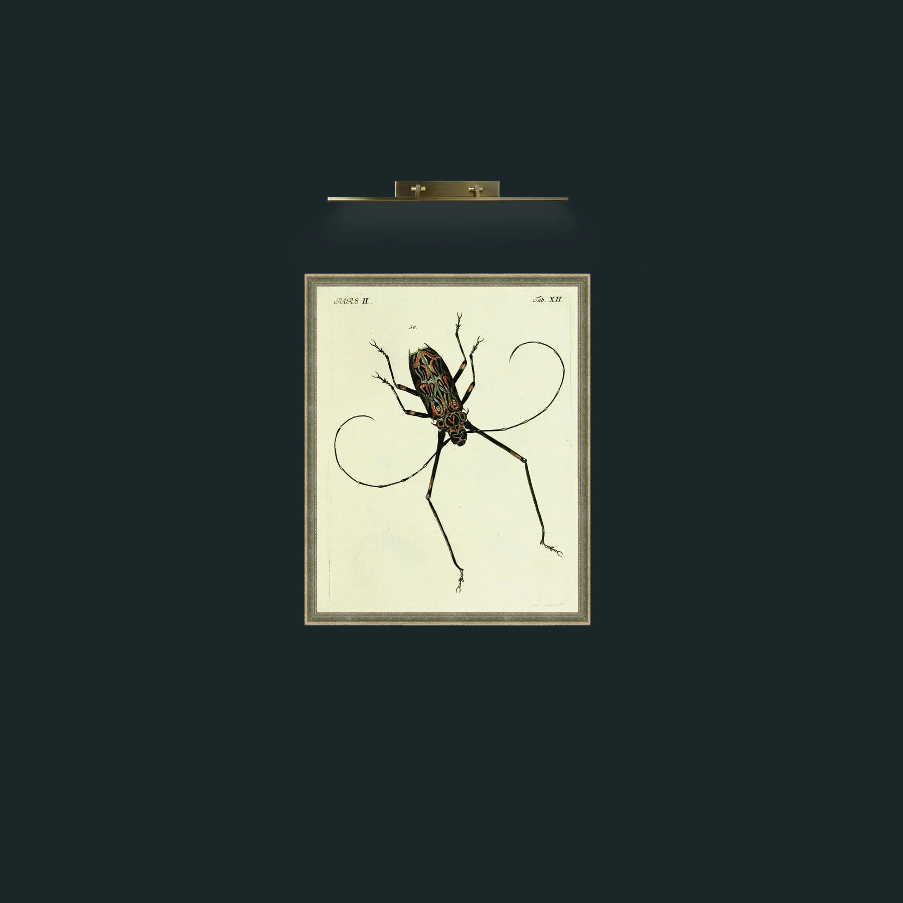 Art-BeetleFrame-2GreenGiltTextured-Art-Beetle.jpg