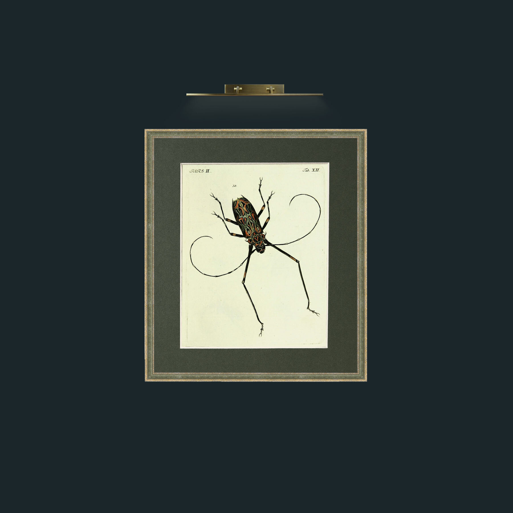 Art-BeetleFrame-2GreenGiltTextured-Mount-2Green-Art-Beetle.jpg
