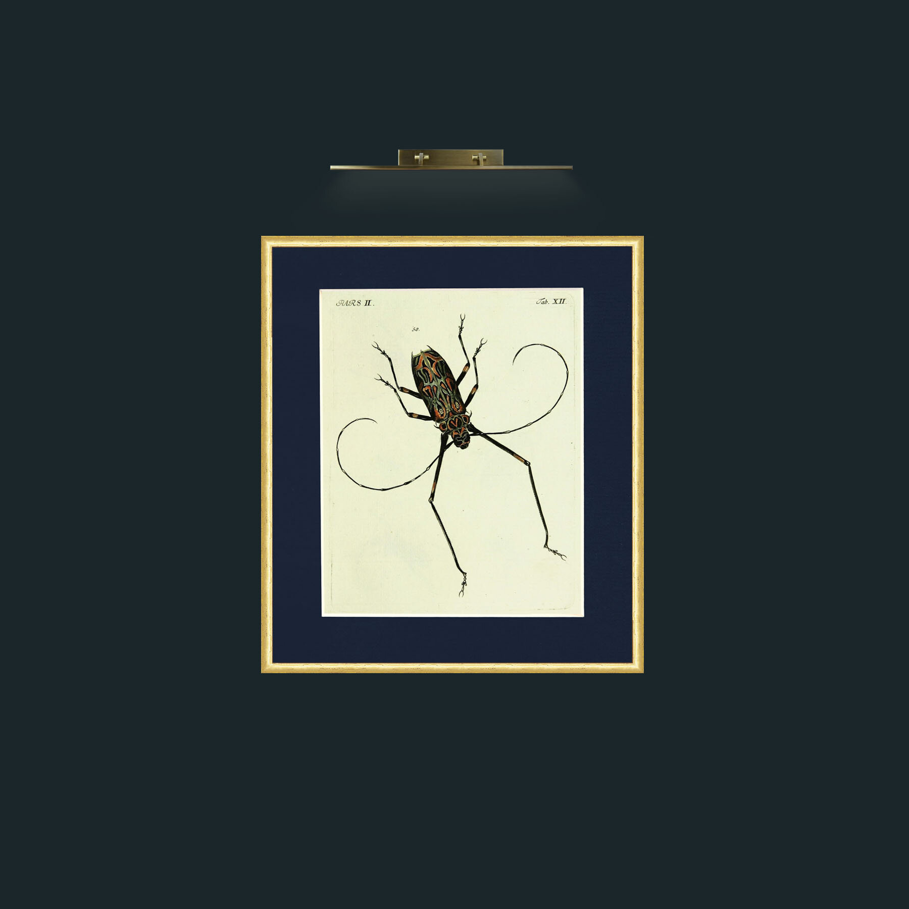 Art-BeetleFrame-3RoundedGilt-Mount-3Blue-Art-Beetle.jpg
