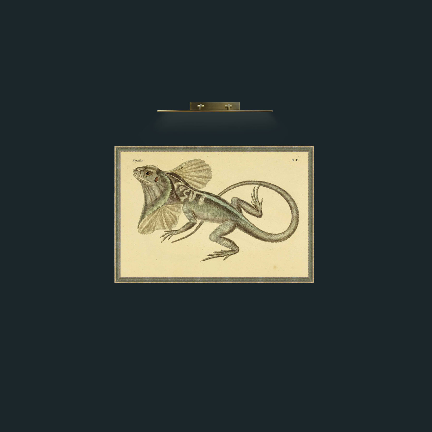 Art-Chlamydosaurus Kingii-Frame-2GreenGiltTextured.jpg