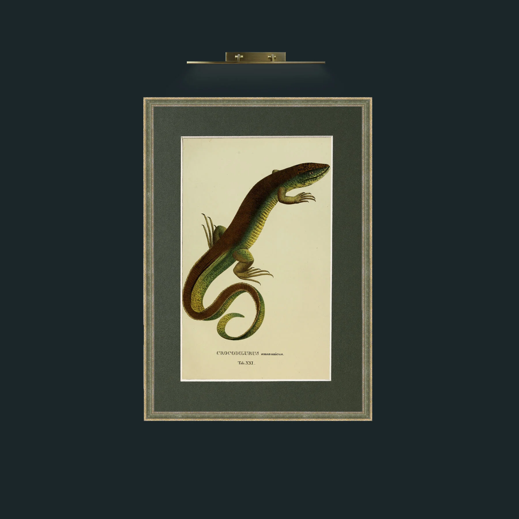 Art-Crocodilurus Amazonieux.jpg-Frame-2GreenGiltTextured-Mount-2Green.jpg