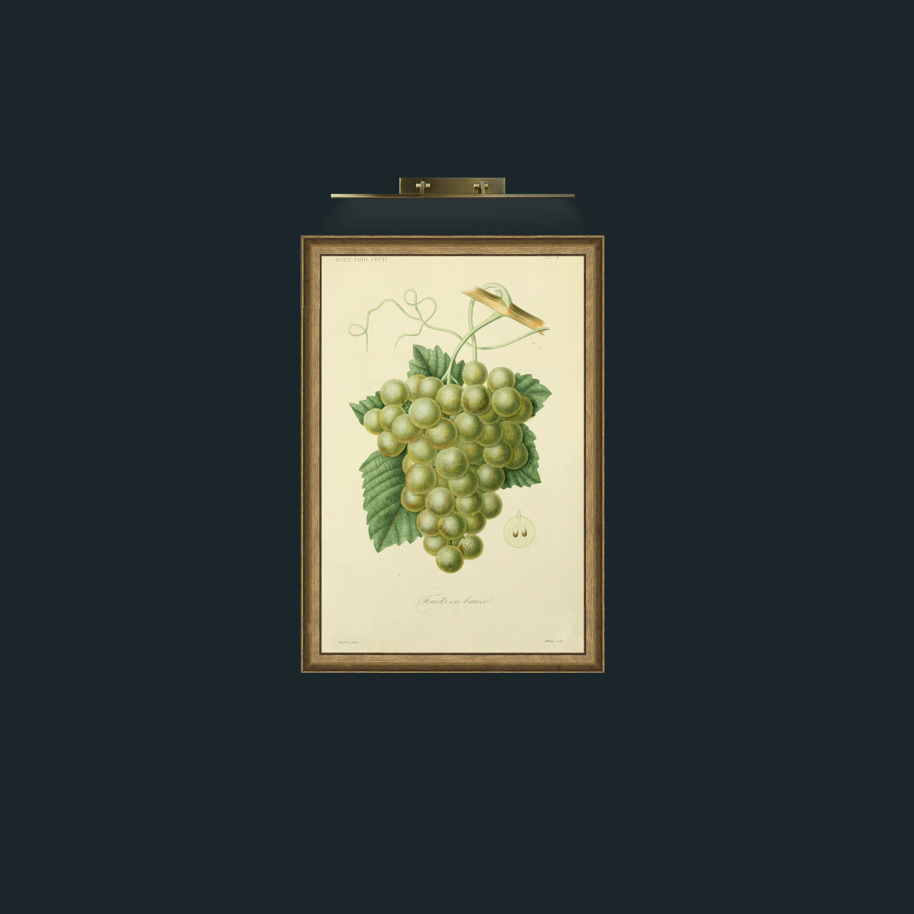 Art-Grapes-Frame-8RedGreenGilt.jpg