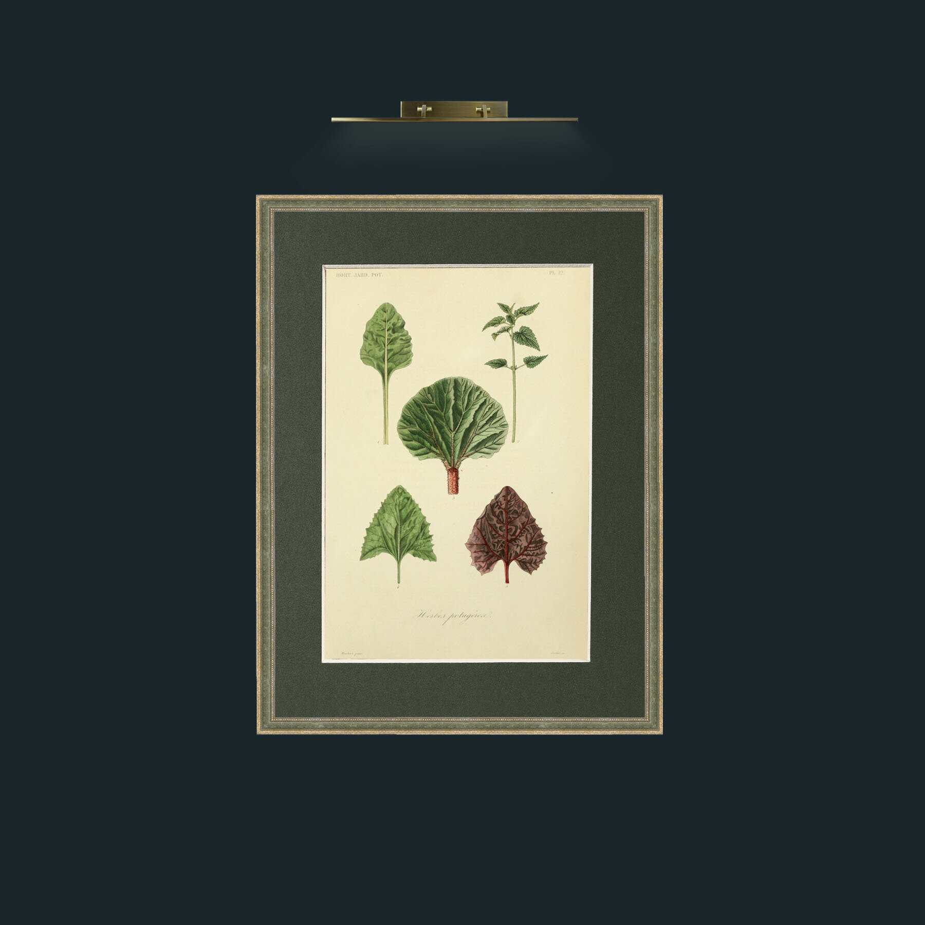 Art-Herbes Potagerea.jpg-Frame-2GreenGiltTextured-Mount-2Green.jpg