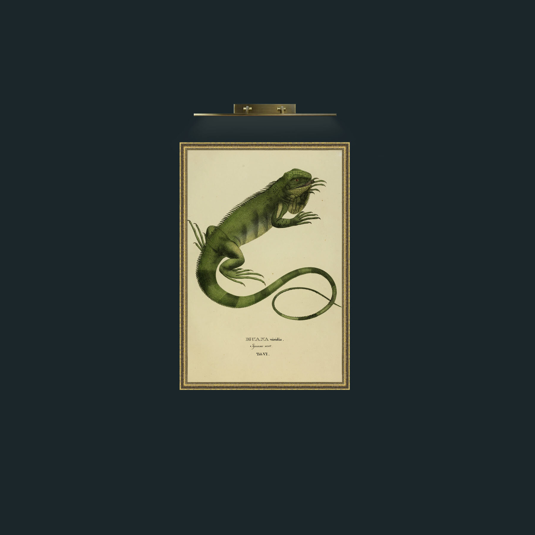 Art-Iguana Viridis-Frame-1GiltTextured.jpg