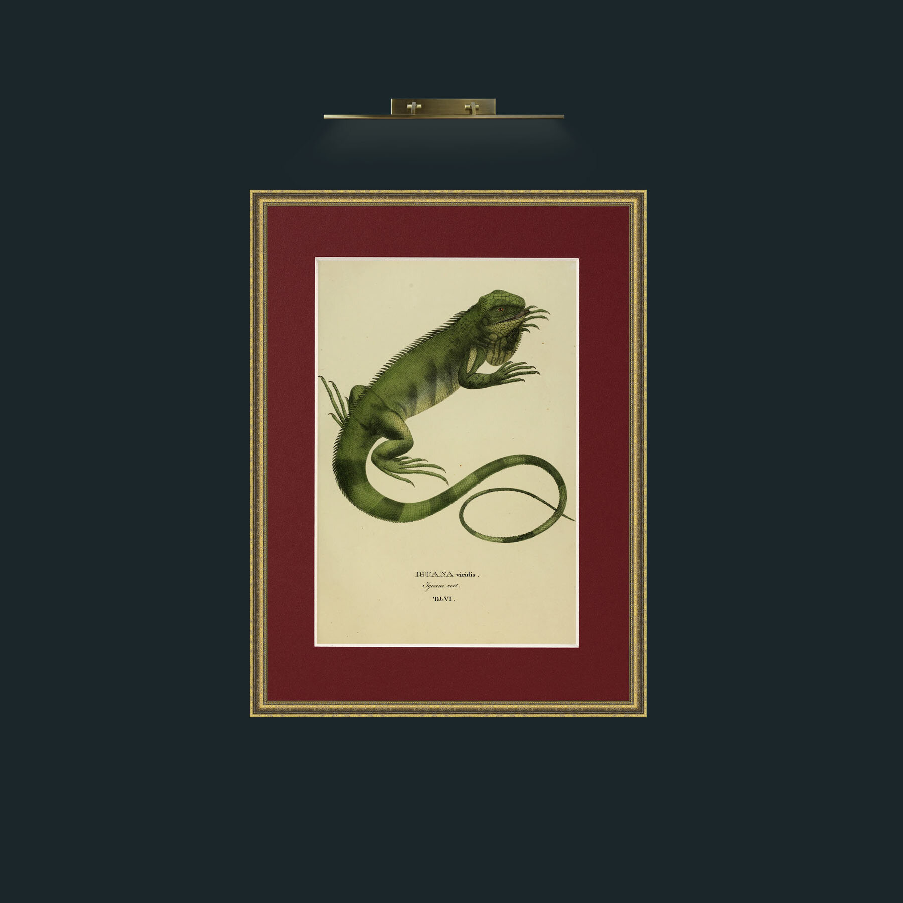 Art-Iguana Viridis.jpg-Frame-1TexturedGilt-Mount-4Red.jpg