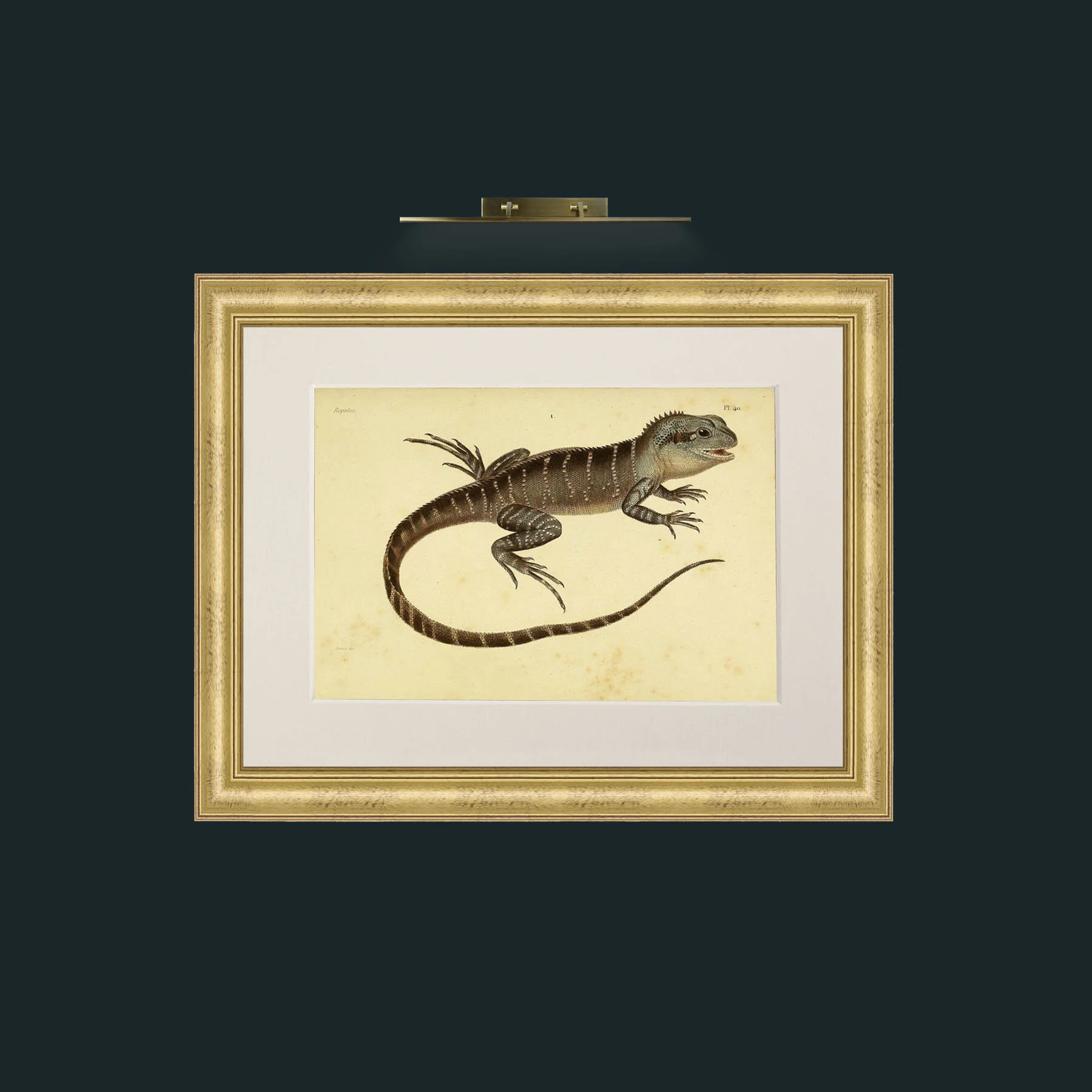 Art-Istiure de La Sueur-Frame-9WideGilt-Mount-1Antique.jpg