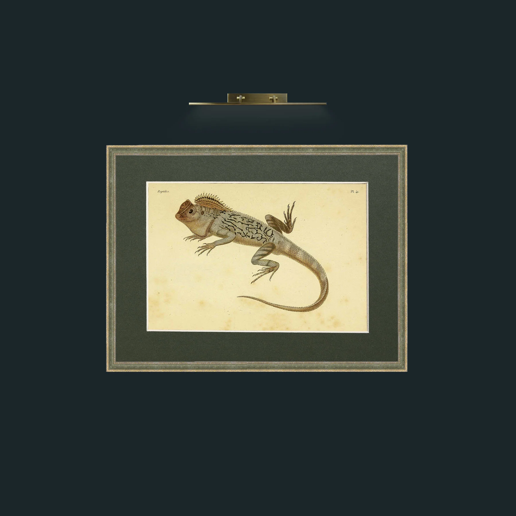 Art-Lophyre Tigre-Frame-2GreenGiltTextured-Mount-2Green.jpg