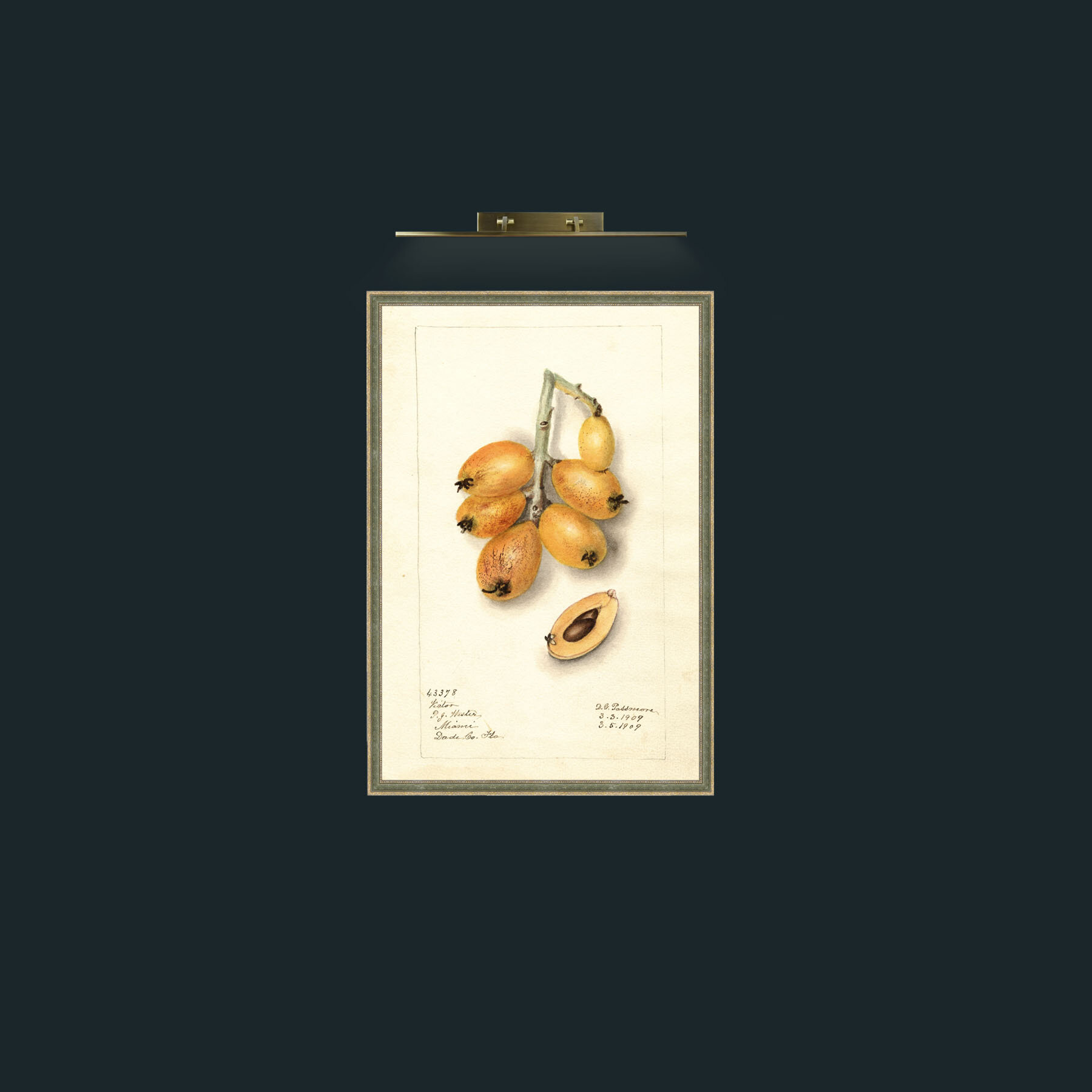 Art-Kumquat-Frame-2GreenGiltTextured.jpg