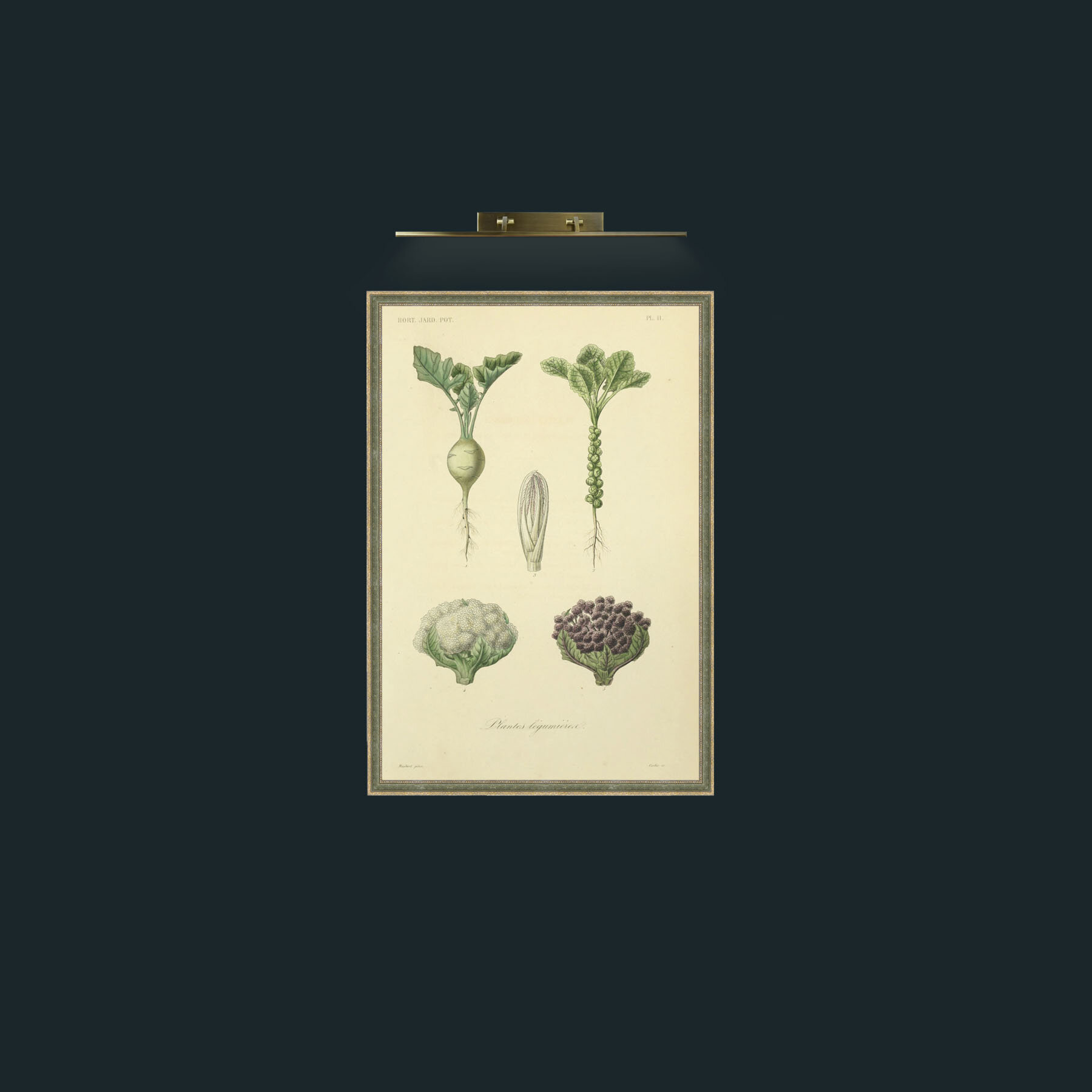 Art-Legumierea-Frame-2GreenGiltTextured.jpg
