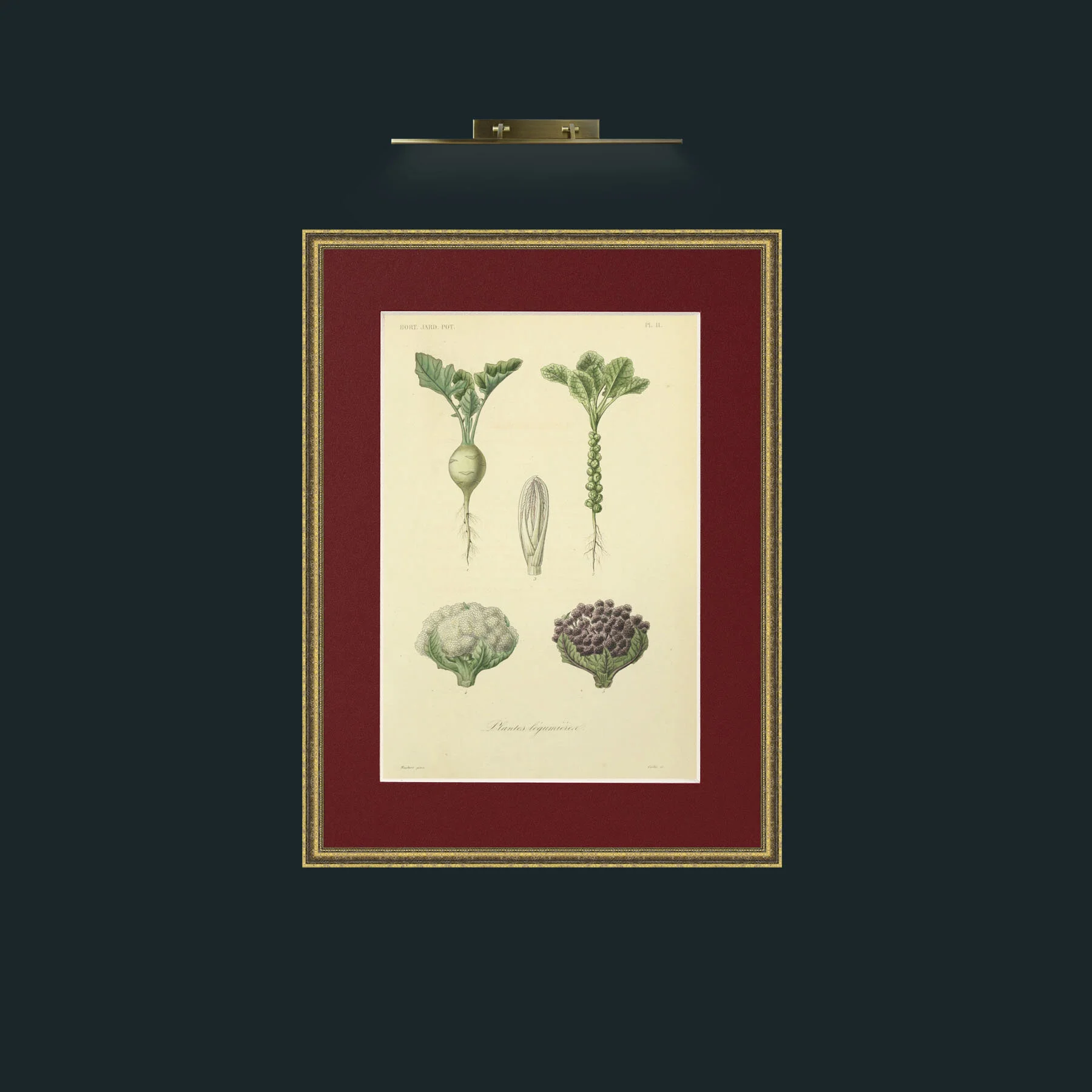 Art-Legumierea.jpg-Frame-1TexturedGilt-Mount-4Red.jpg