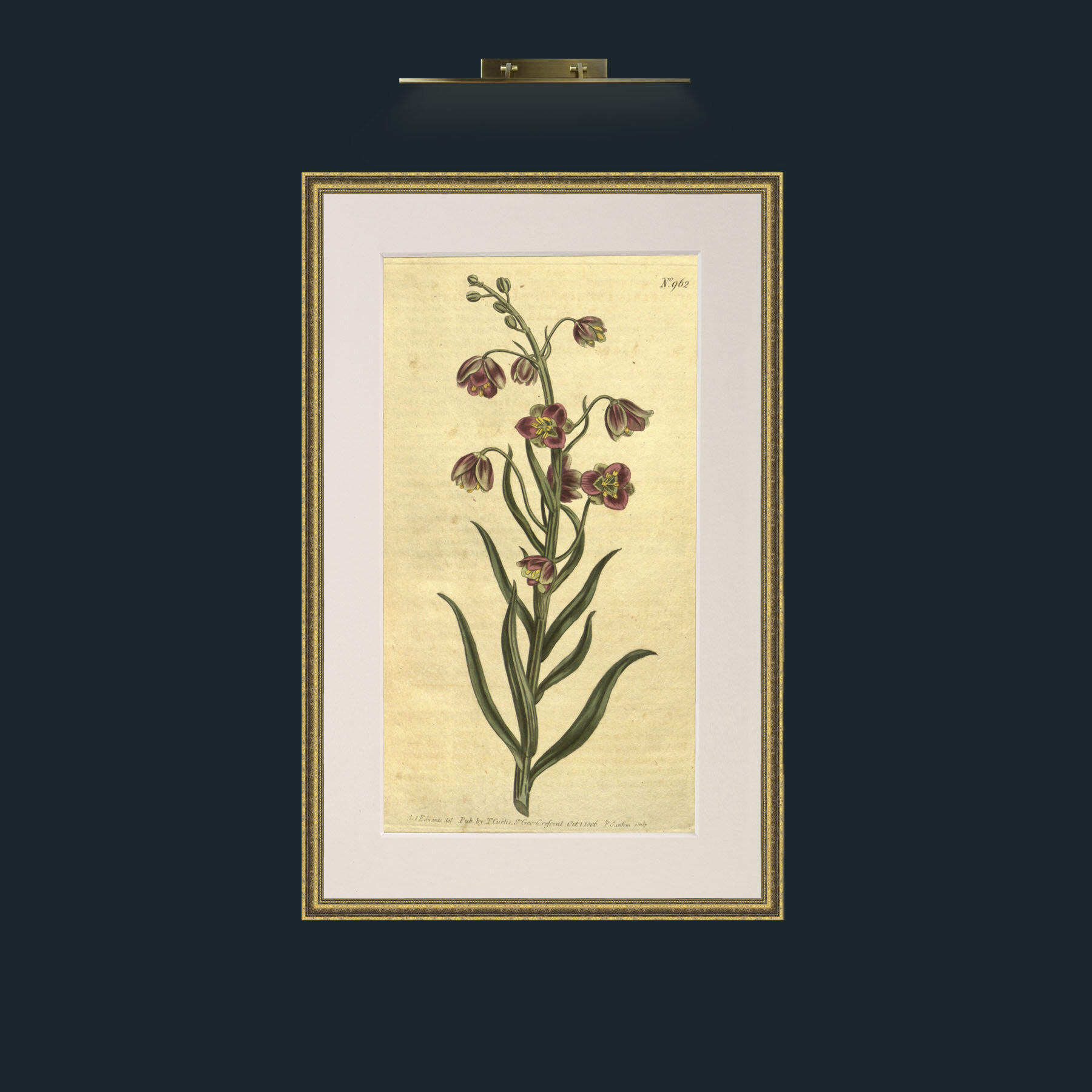 Art-Lesser Flowering Fritillary.jpg-Frame-1GiltTextured-Mount-1Antique.jpg