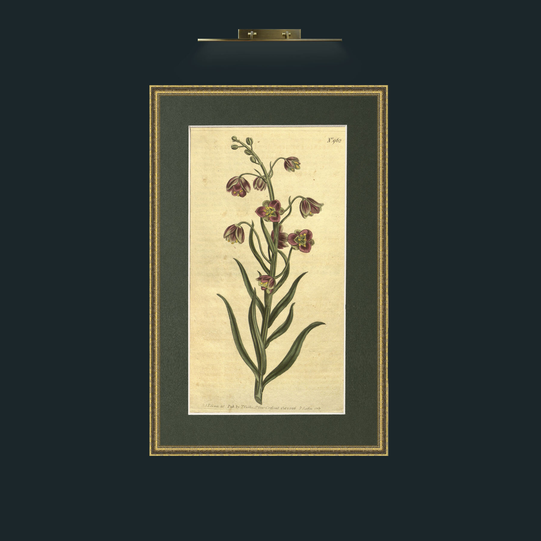 Art-Lesser Flowering Fritillary.jpg-Frame-1GiltTextured-Mount-2Green.jpg