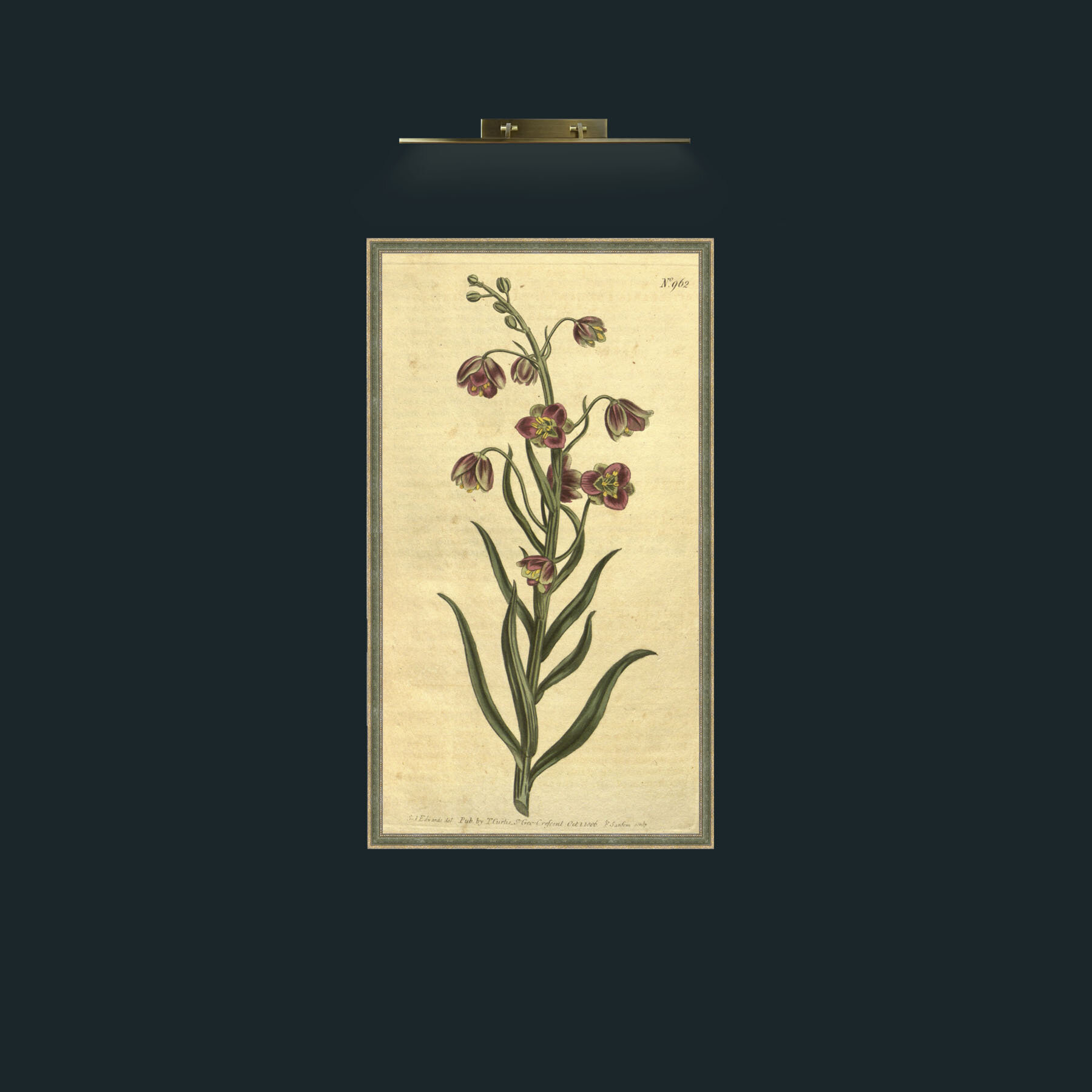 Art-Lesser Flowering Fritillary.jpg-Frame-2GreenGiltTextured.jpg