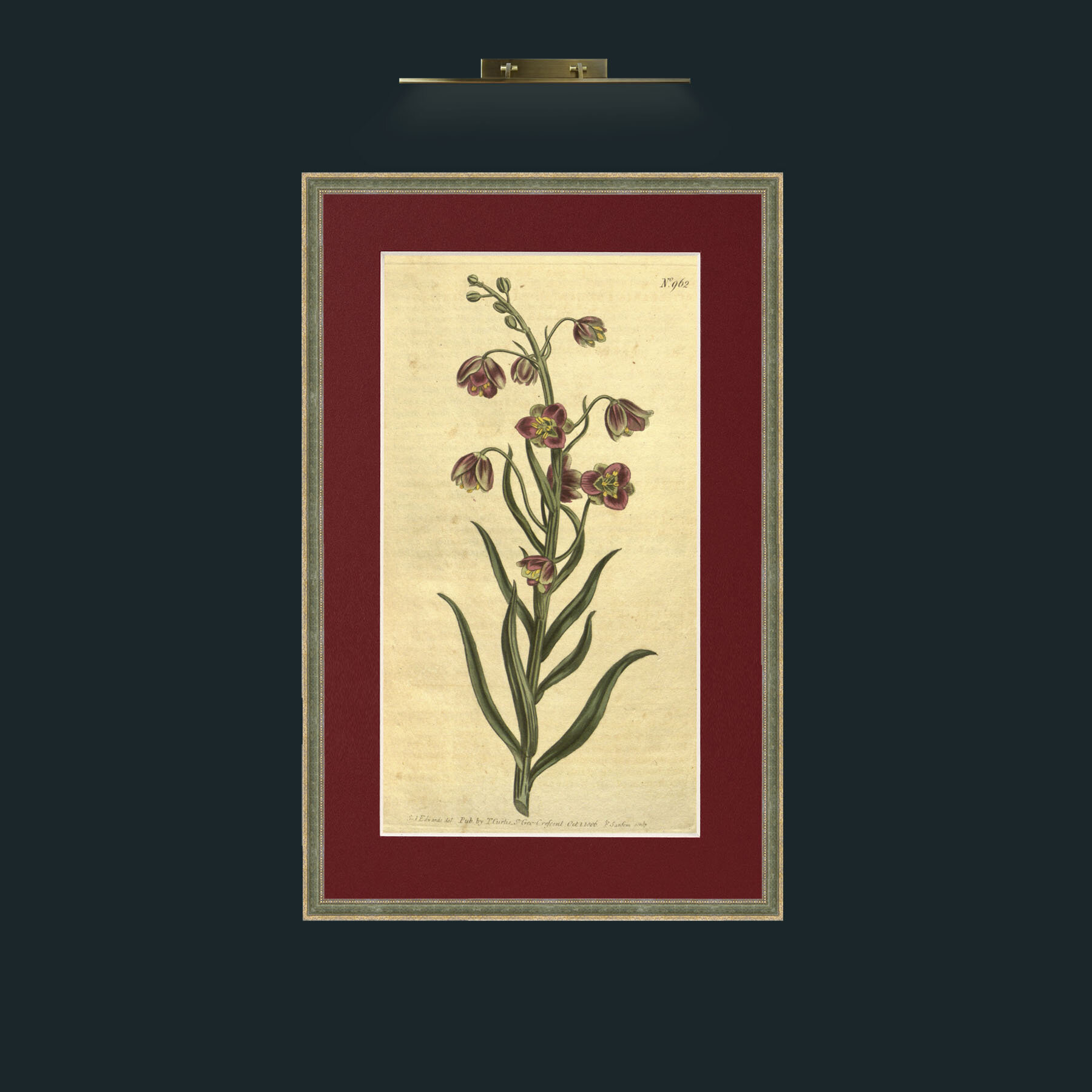 Art-Lesser Flowering Fritillary.jpg-Frame-2GreenGoldTextured-Mount-4Red.jpg