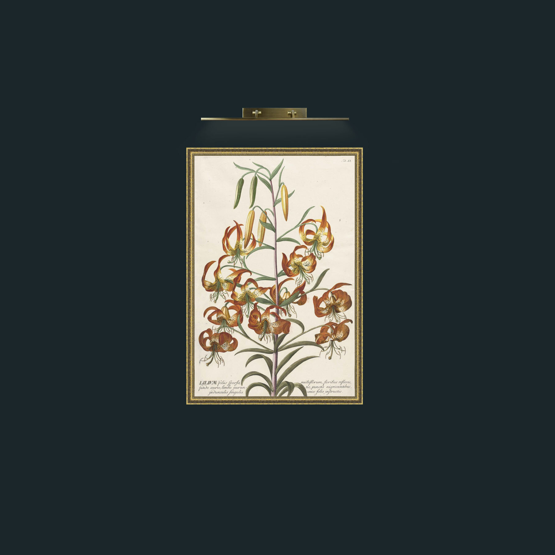 Art-Lilivm-Frame-1GiltTextured.jpg