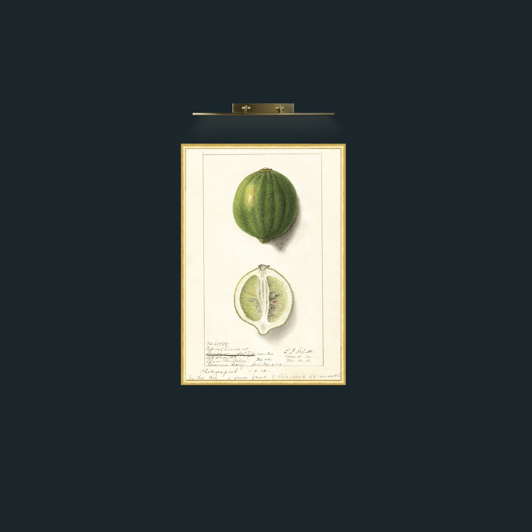 Art-Limes-Frame-3RoundedGilt.jpg