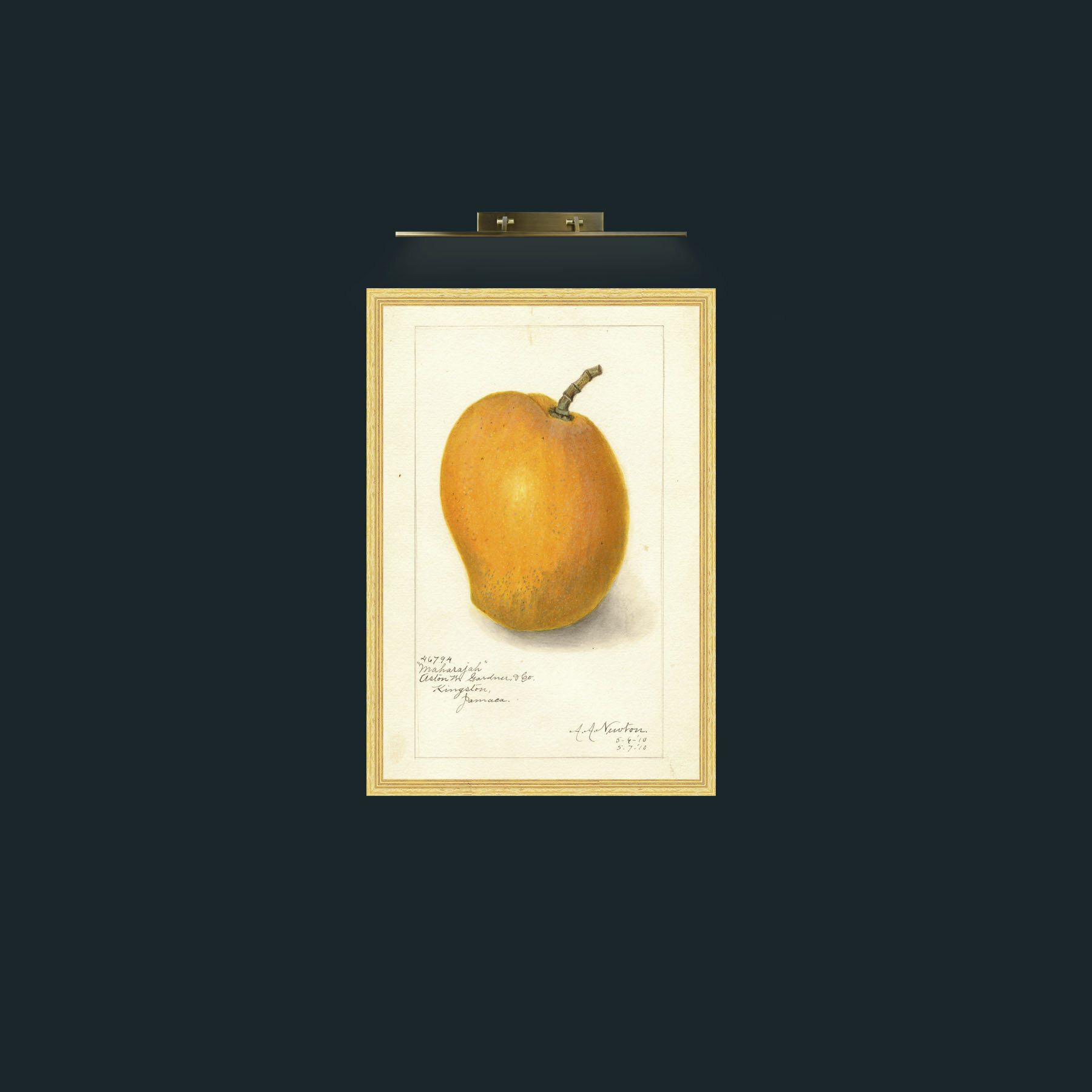 Art-Mango-Frame-4BevelledGilt.jpg