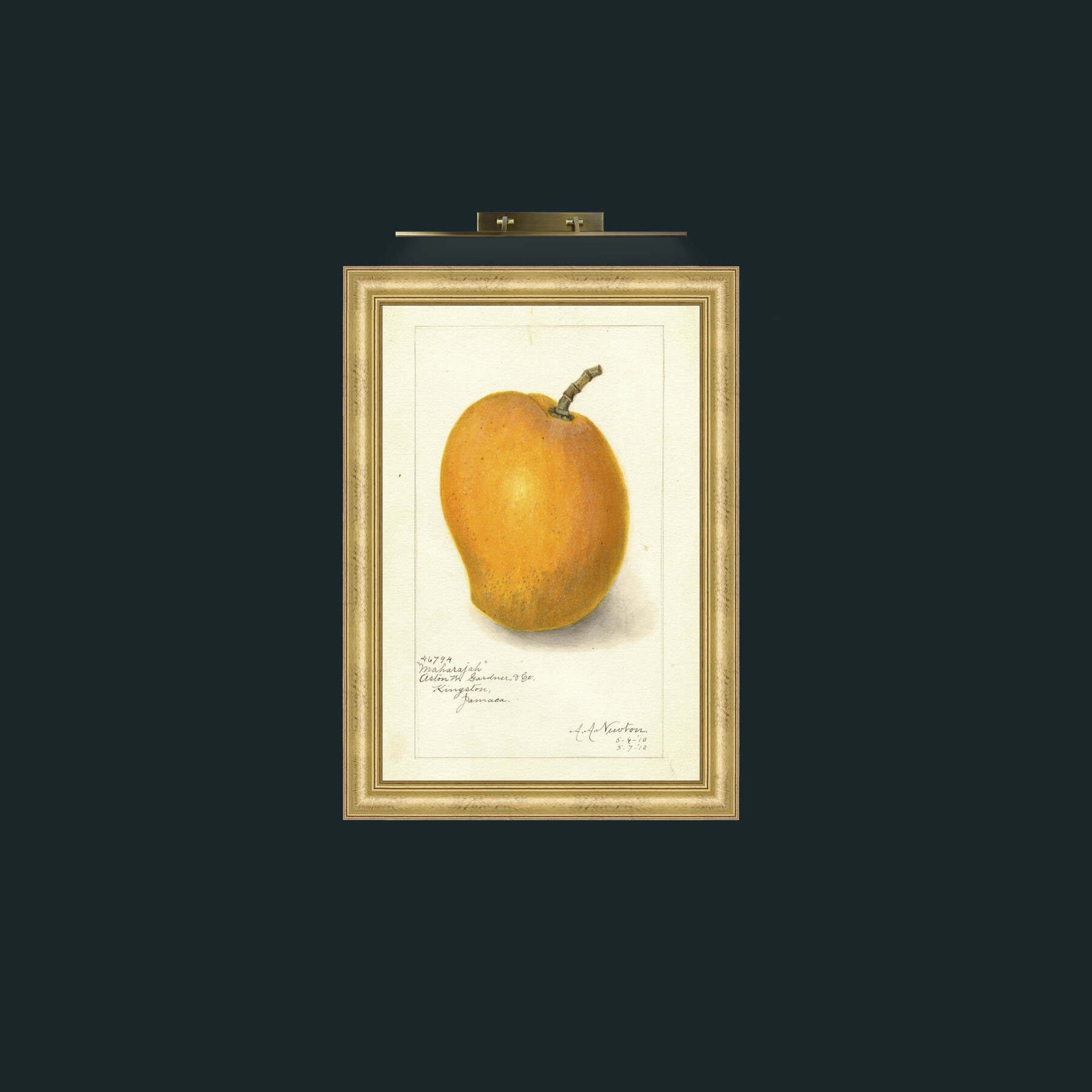 Art-Mango-Frame-9WideGilt.jpg