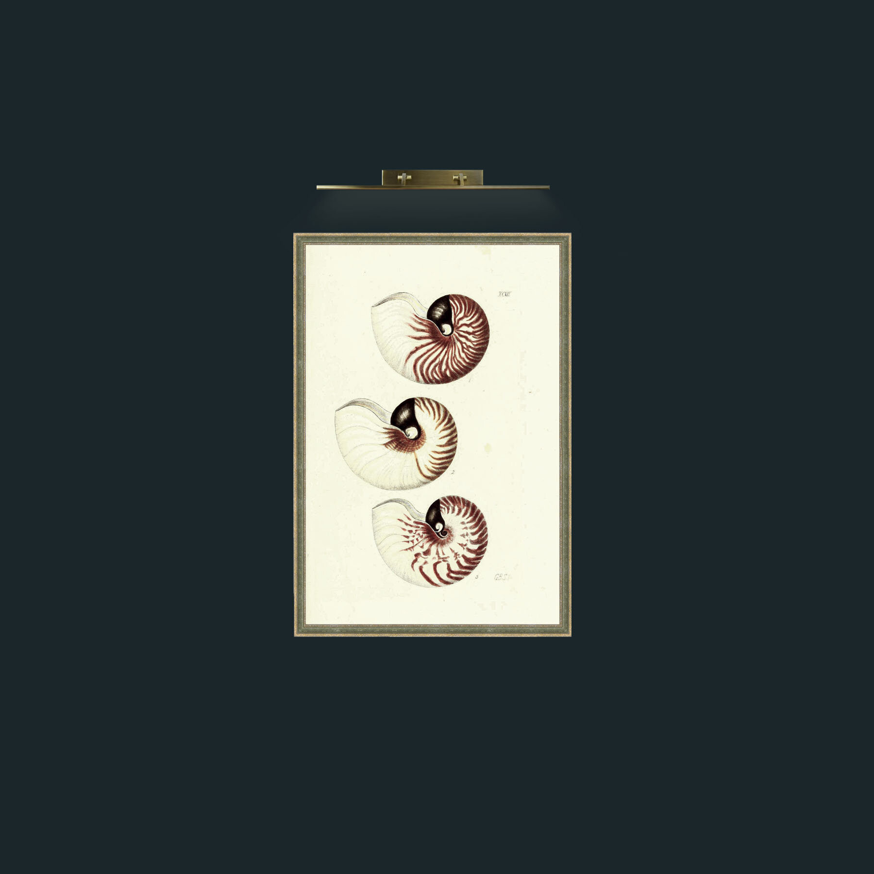 Art-Nautilus-Frame-2GreenGiltTextured.jpg