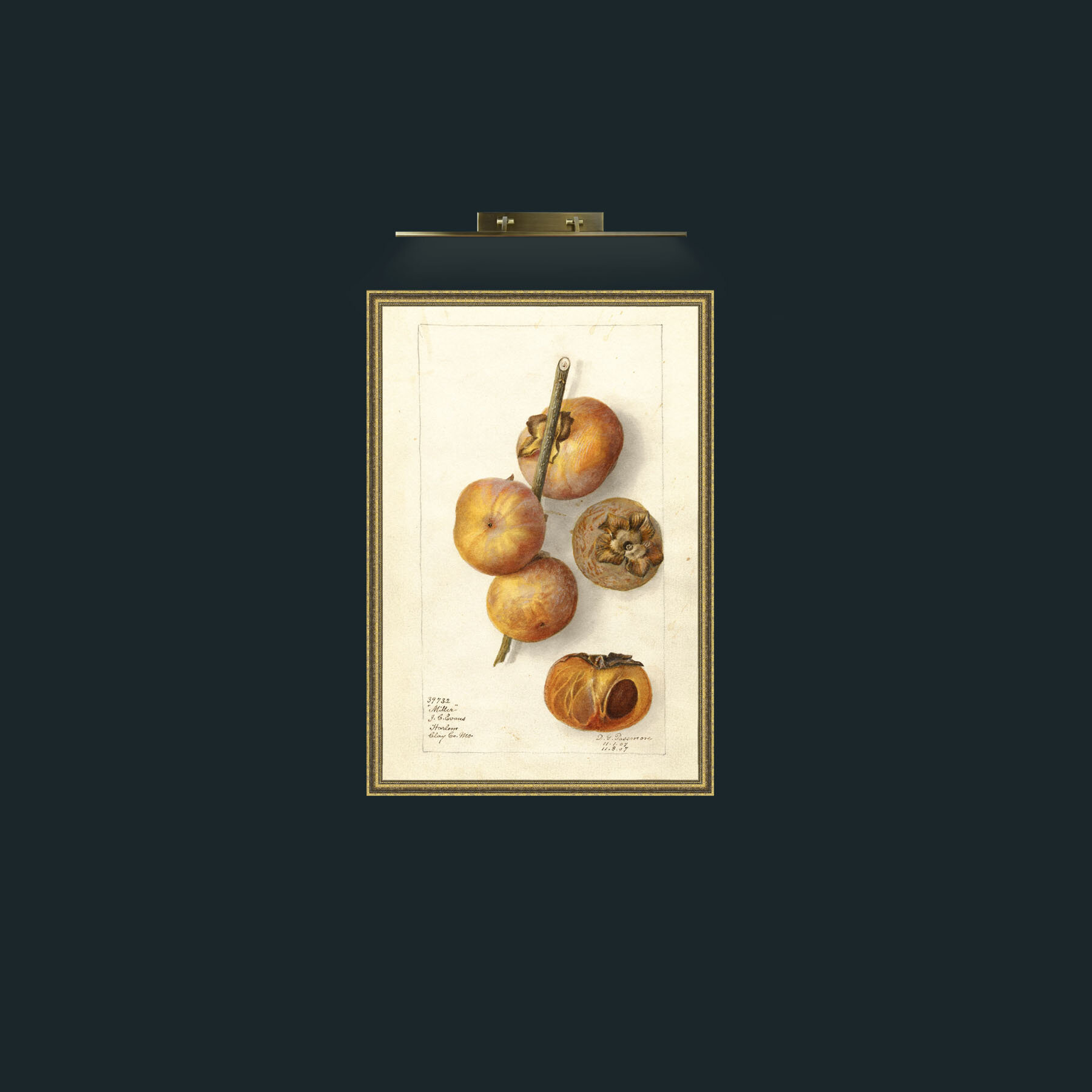 Art-Miller Persimmon-Frame-1GiltTextured.jpg