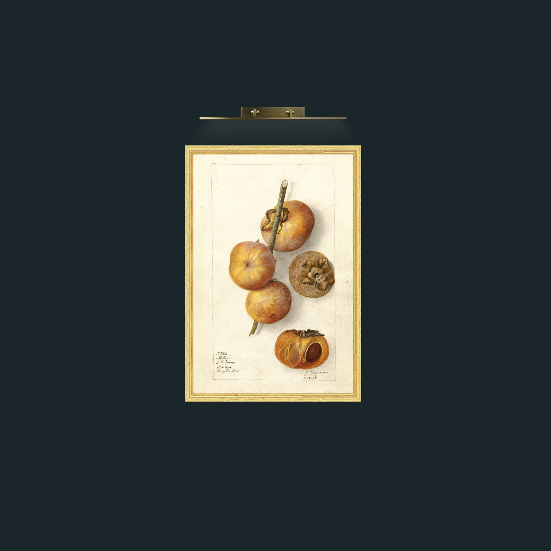 Art-Miller Persimmon-Frame-4BevelledGilt.jpg