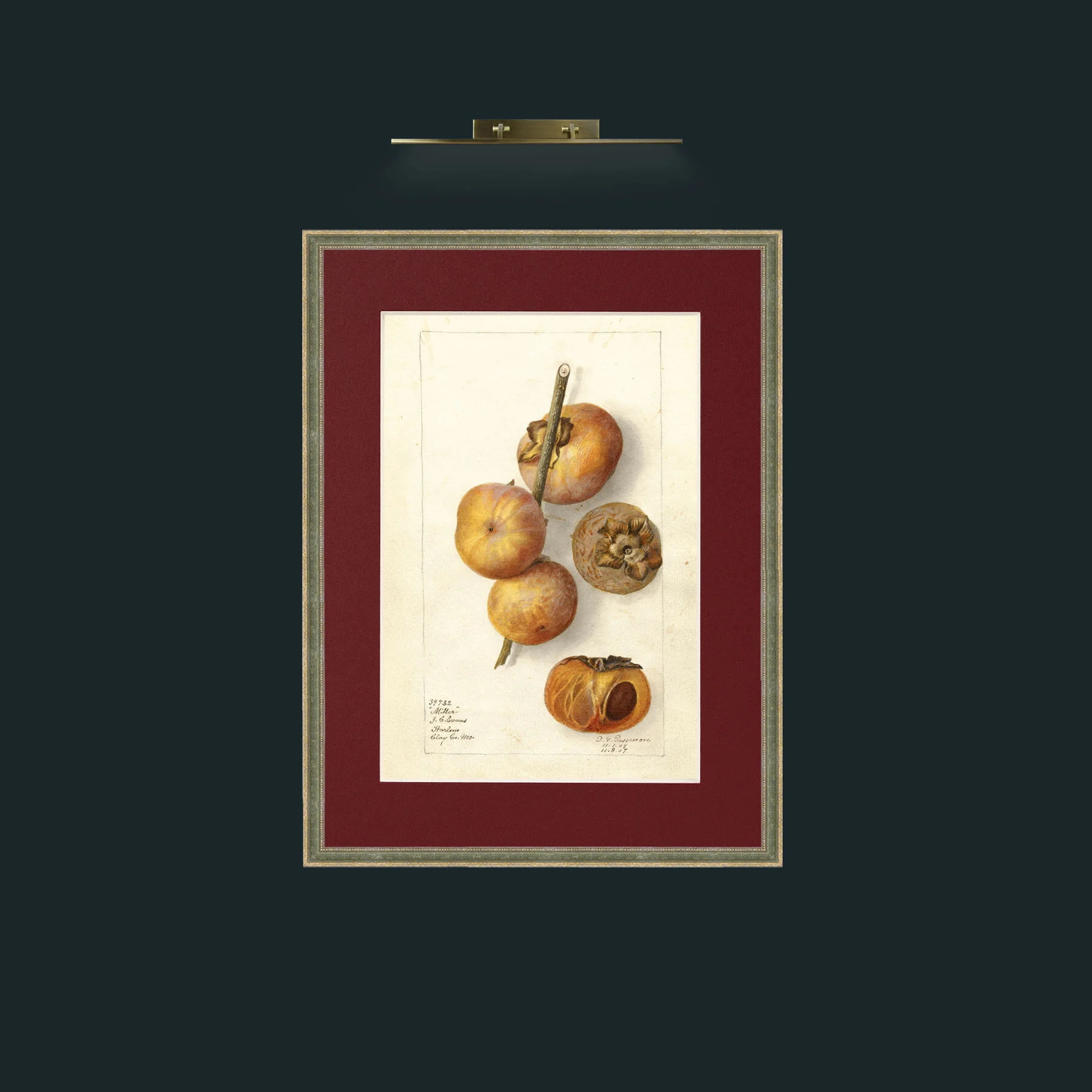 Art-Miller Persimmon.jpg-Frame-2GreenGiltTextured-Mount-4Red.jpg