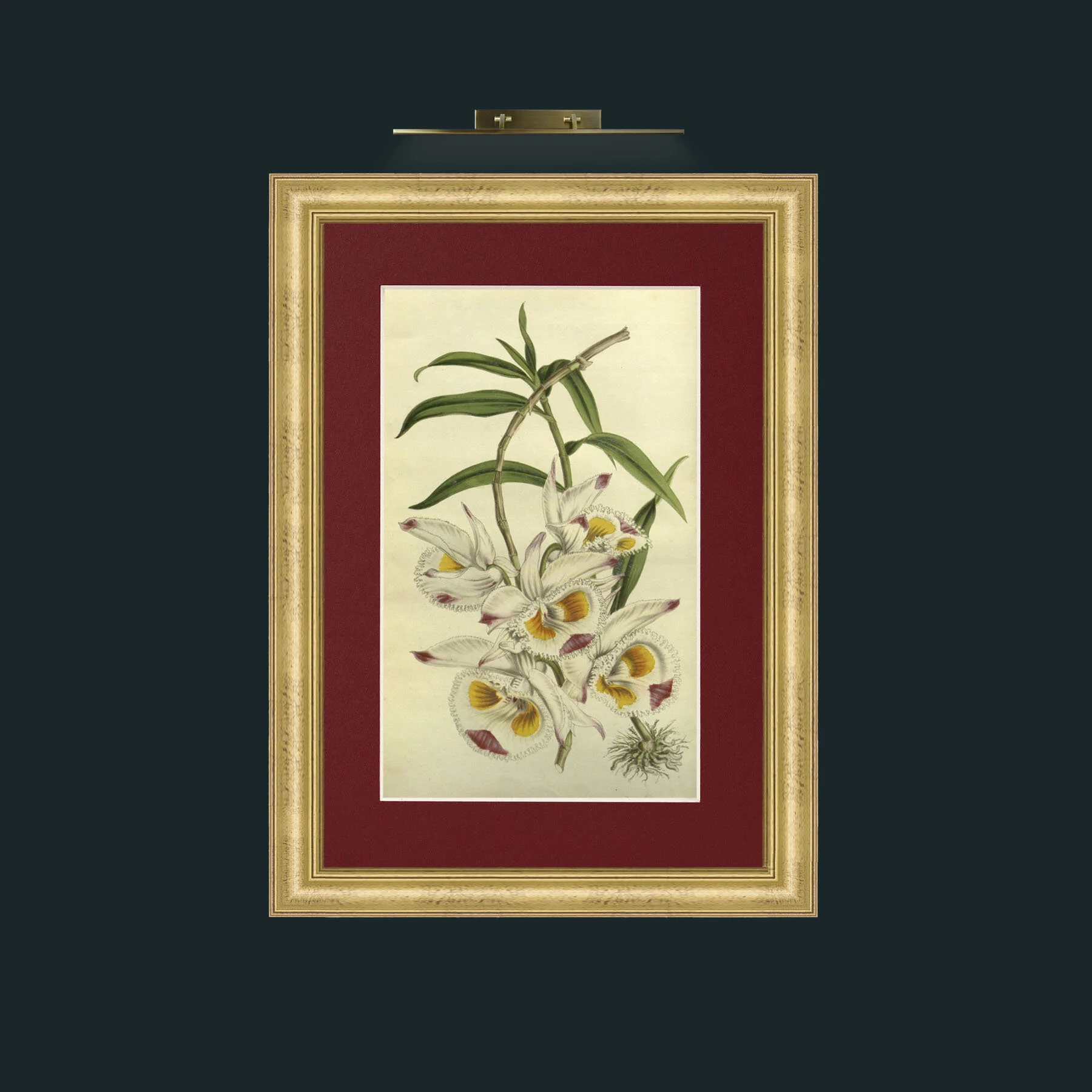 Art-mobot31753002747308_0005.jpg-Frame-9WideGilt-Mount-4Red.jpg